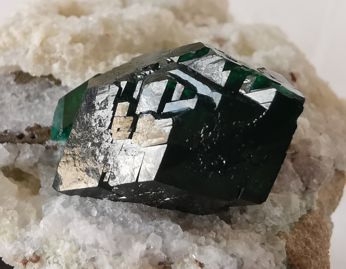 Dioptasa
6 x 5 cm
(Autor: Diego Navarro)