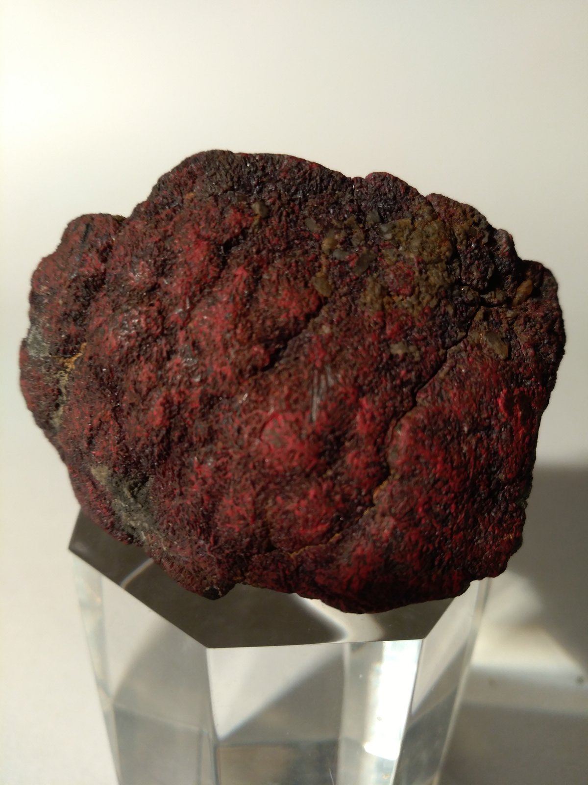 Cinabrio, Marcasita
50 mm x 34 mm
(Autor: Sante Celiberti)