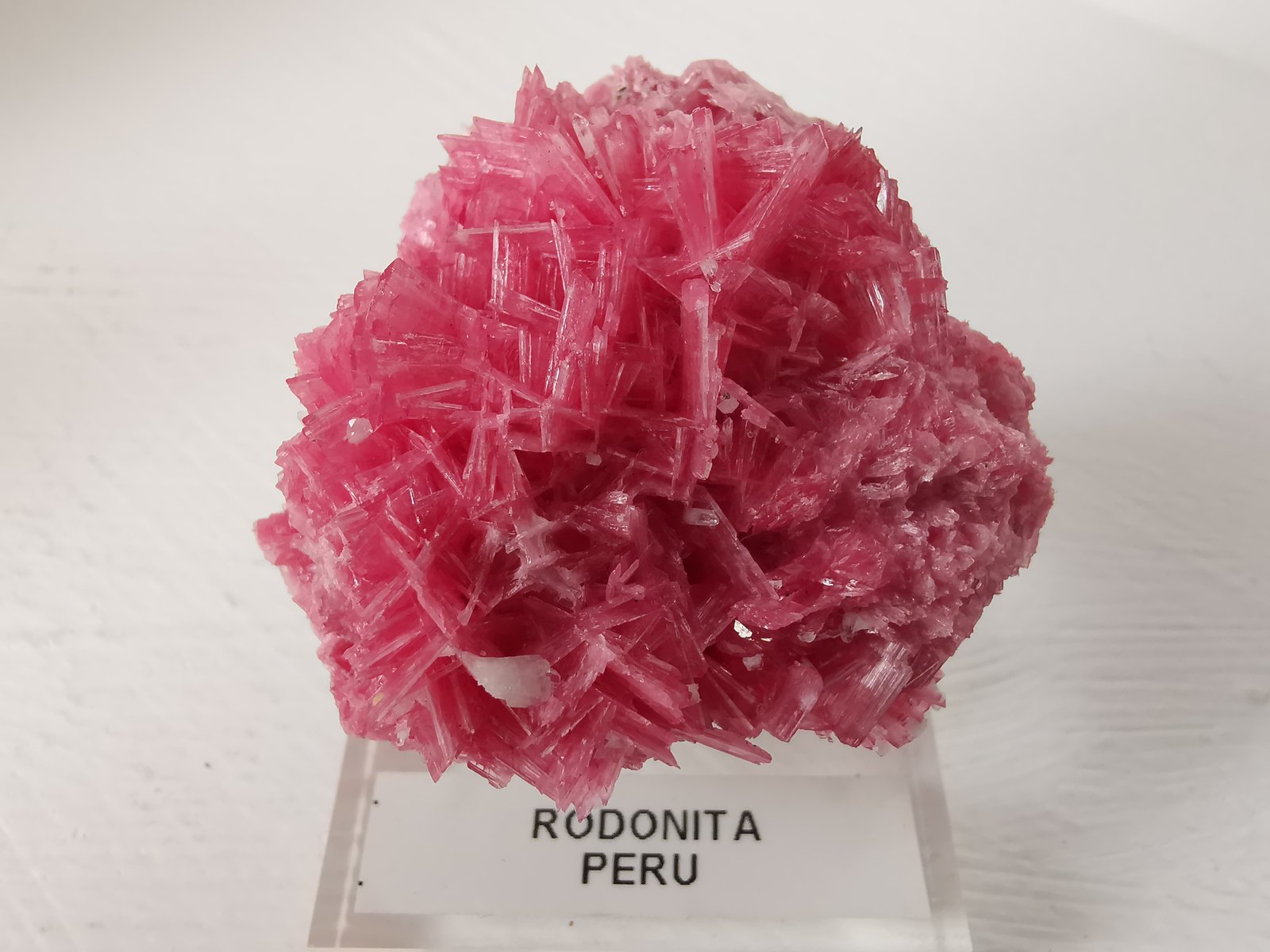 Rodonita
4.9 x 4.5 cm
(Autor: Diego Navarro)