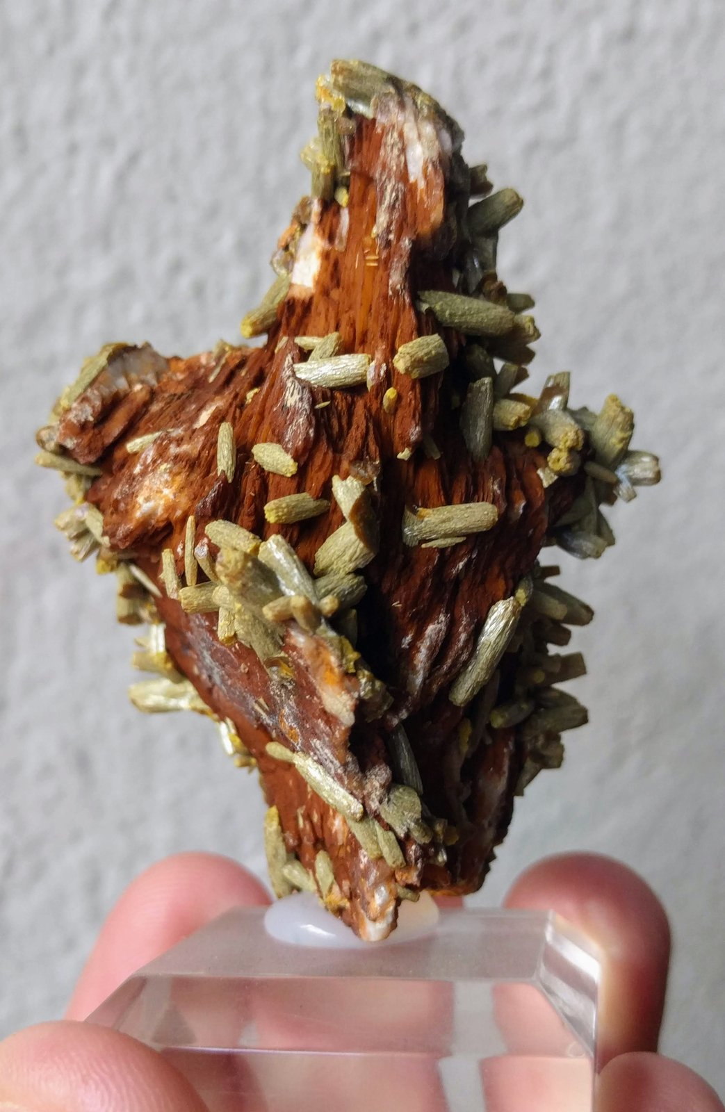 Piromorfita, Barita
6,8 x 4,5 cm.
(Autor: carles)
