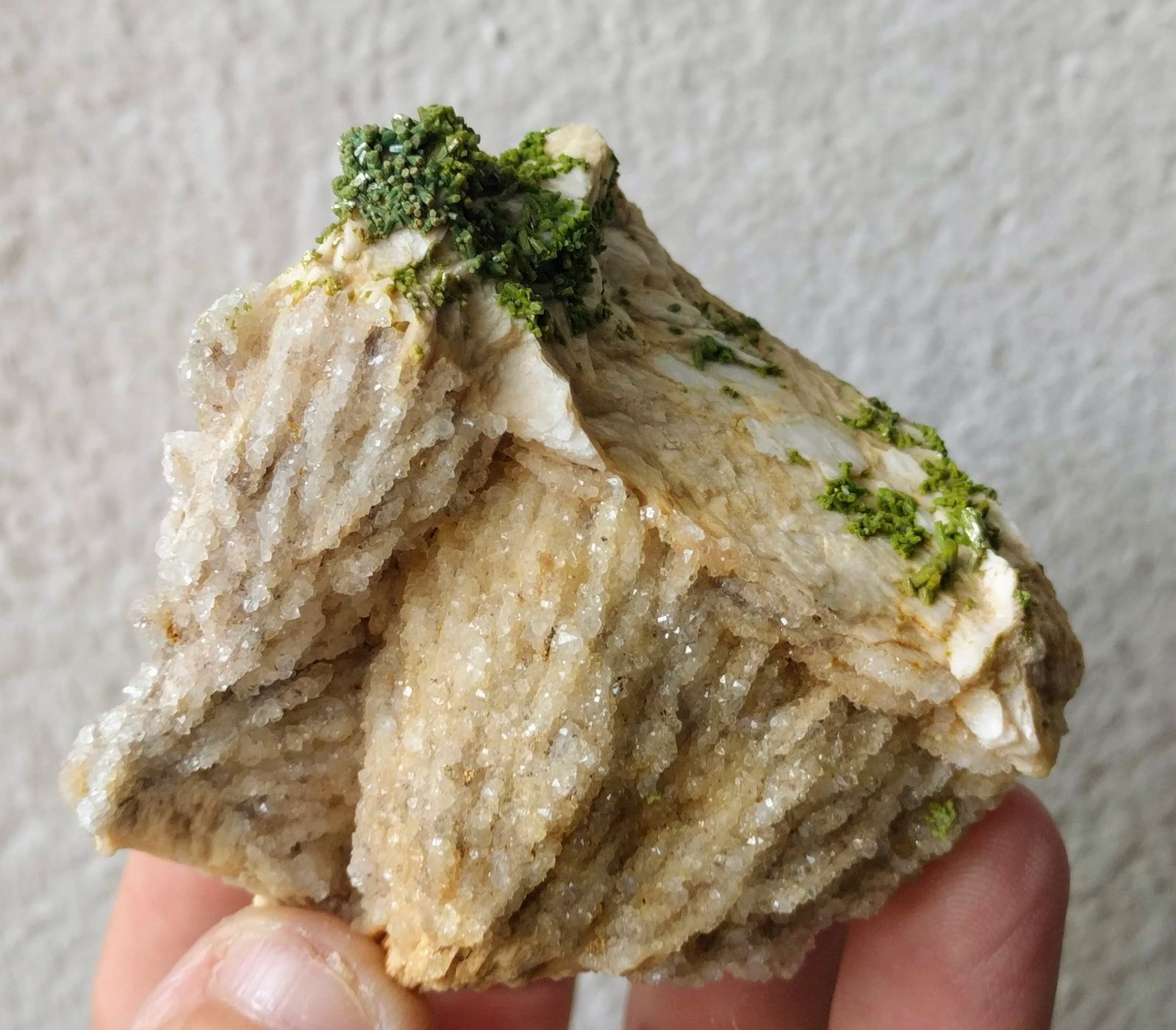 Piromorfita, Cuarzo, Barita
5,7 x 5,4 cm.
(Autor: carles)