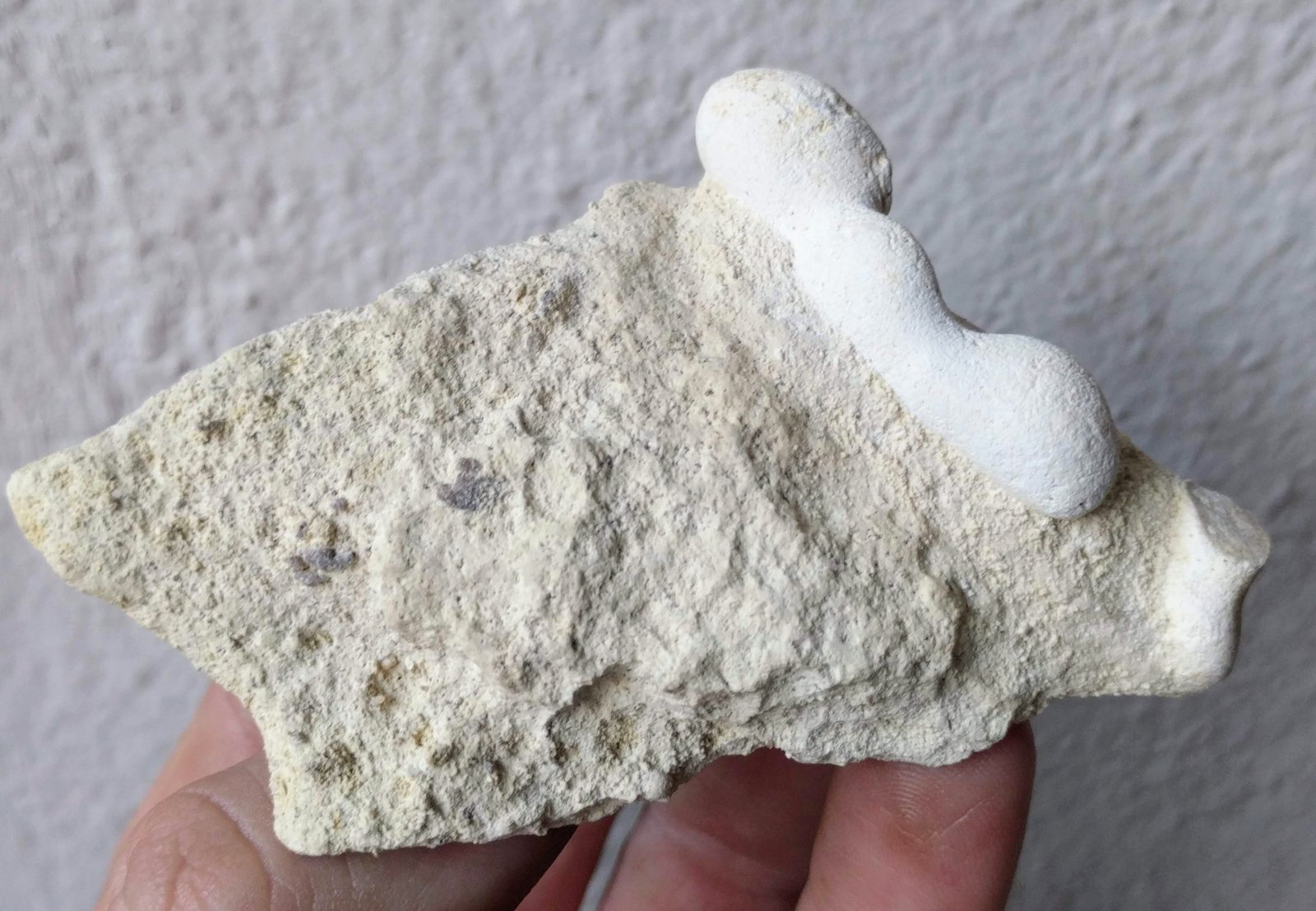 Ópalo (variedad menilito)
8,5 x 5,5 cm.
(Autor: carles)