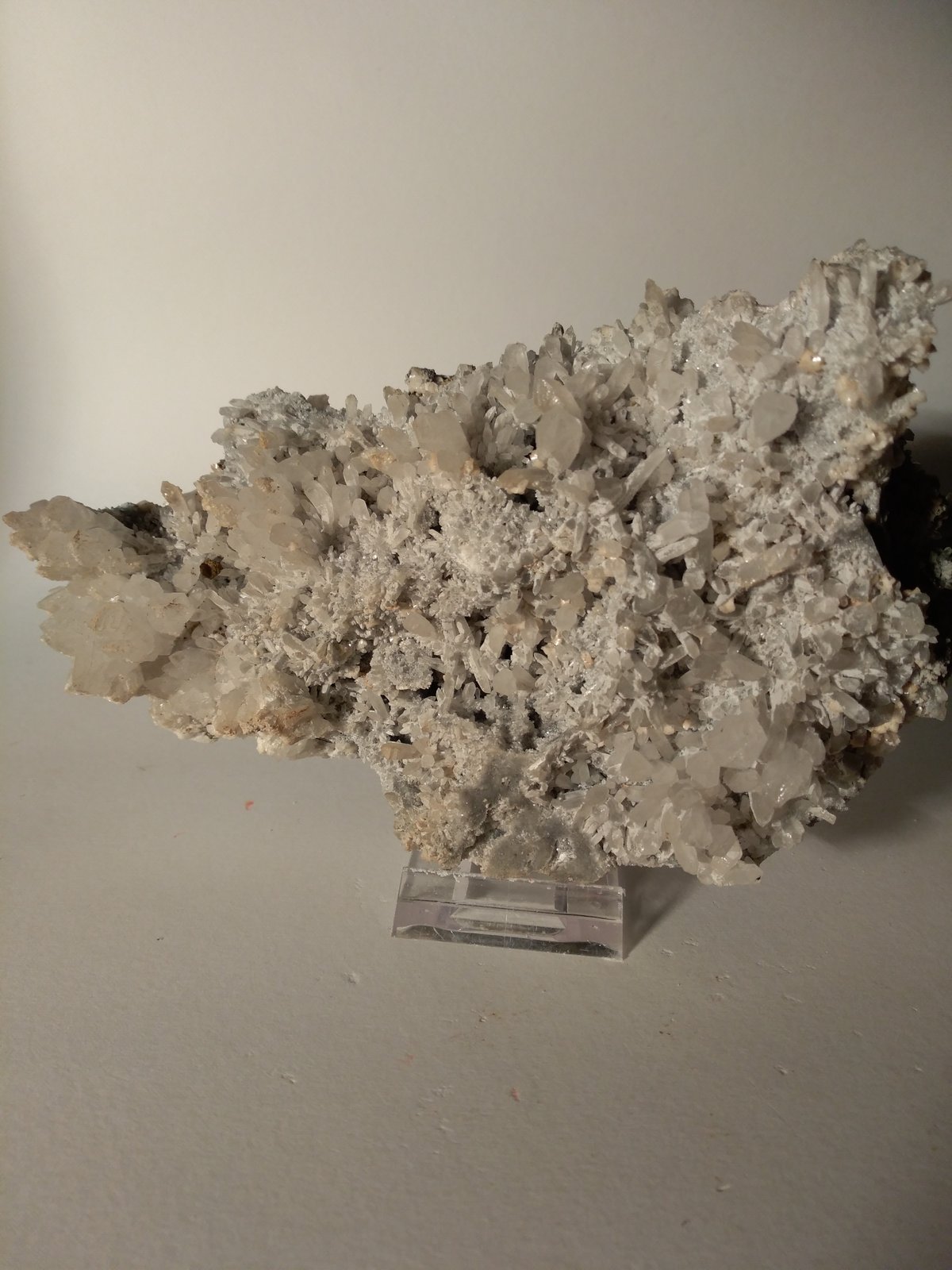 Cuarzo, Pirita, Dolomita, Ankerita
170 mm x 100 mm
(Autor: Sante Celiberti)