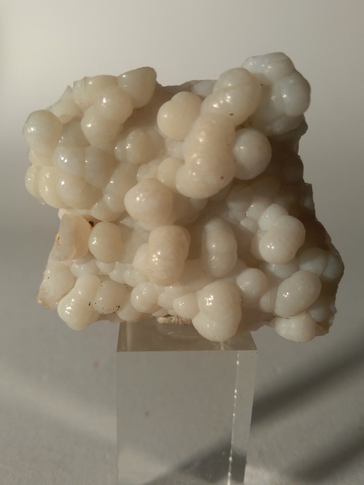 Opalo
40 mm x 33 mm
(Autor: Sante Celiberti)