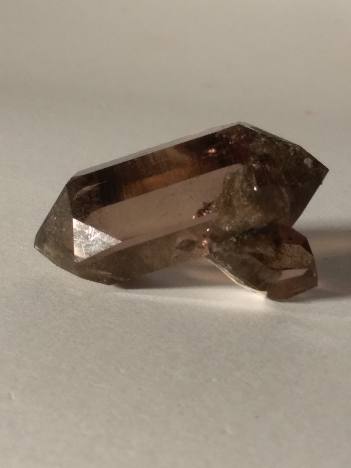 Cuarzo (variedad ahumado)
43 x 26 mm
(Autor: Sante Celiberti)