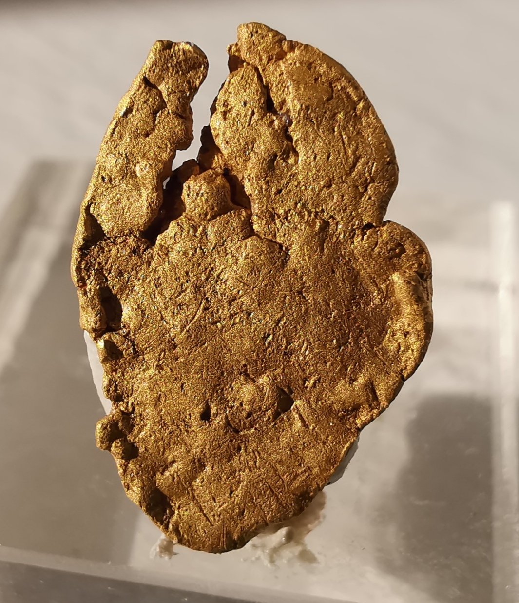 Oro
1.5 x 1cm
(Autor: Diego Navarro)