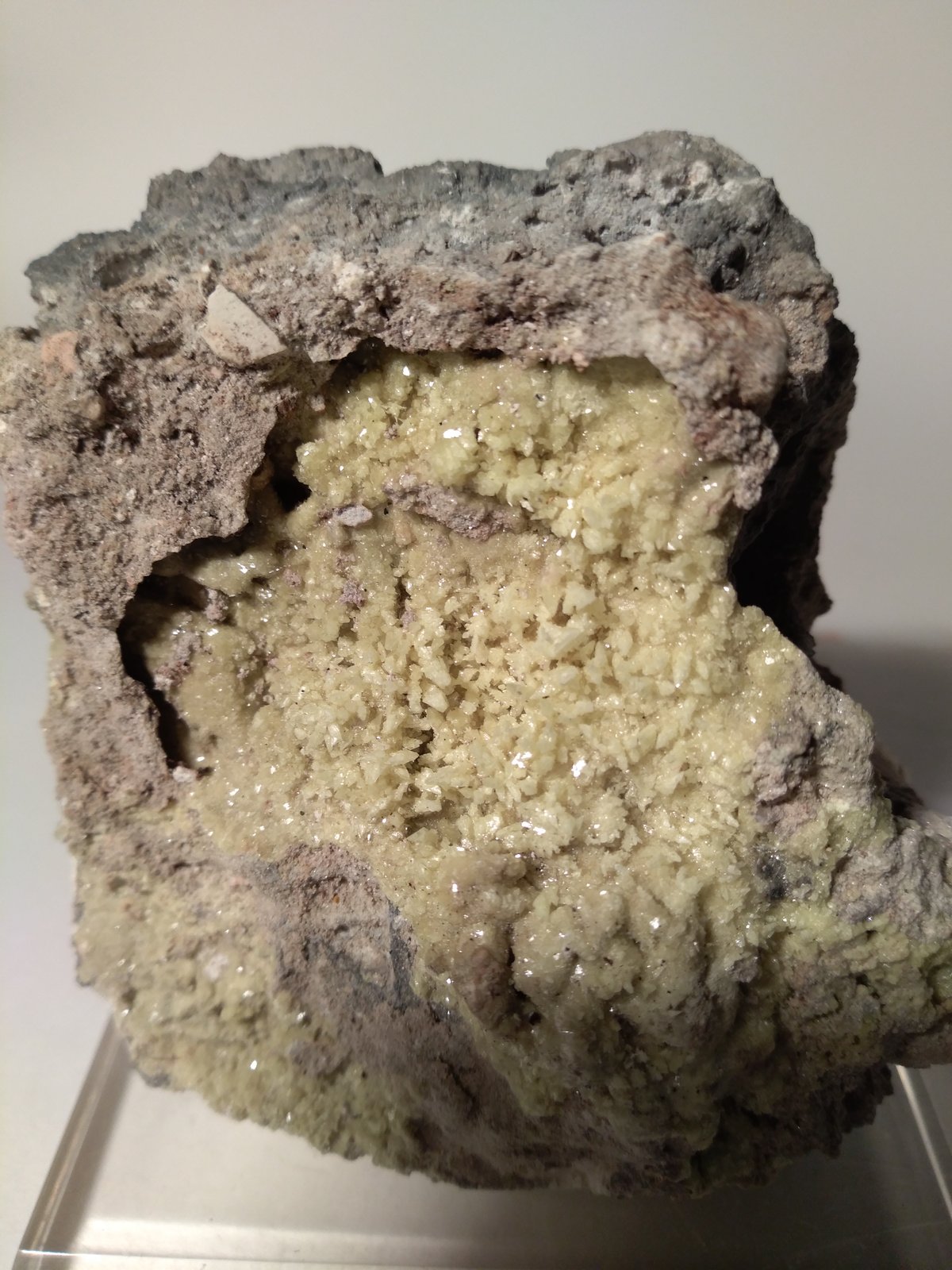 Azufre
85 x 73 mm
(Autor: Sante Celiberti)