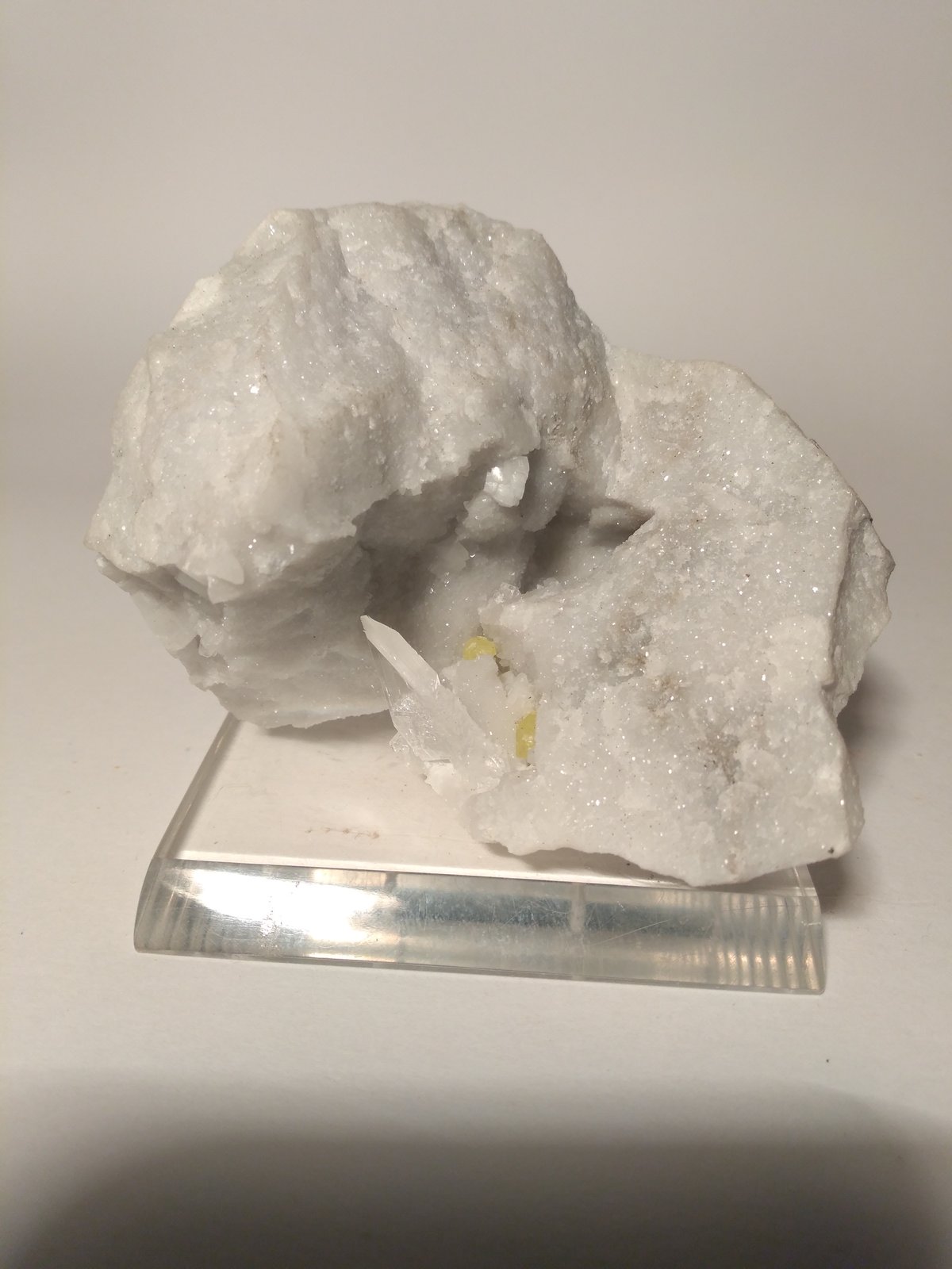 Azufre, Yeso
97 x 63 mm
(Autor: Sante Celiberti)