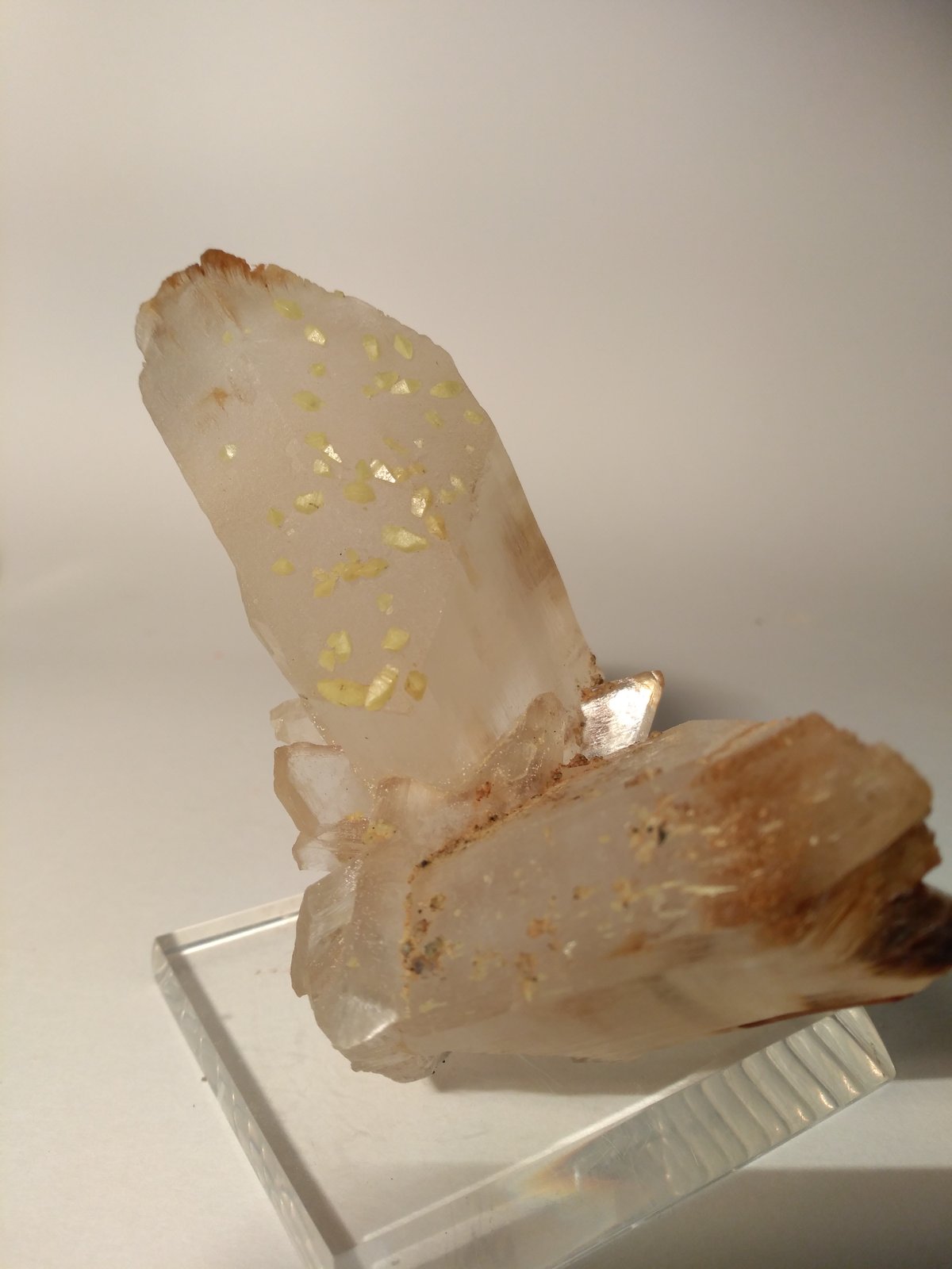 Azufre, Yeso
110 x 96 mm
(Autor: Sante Celiberti)