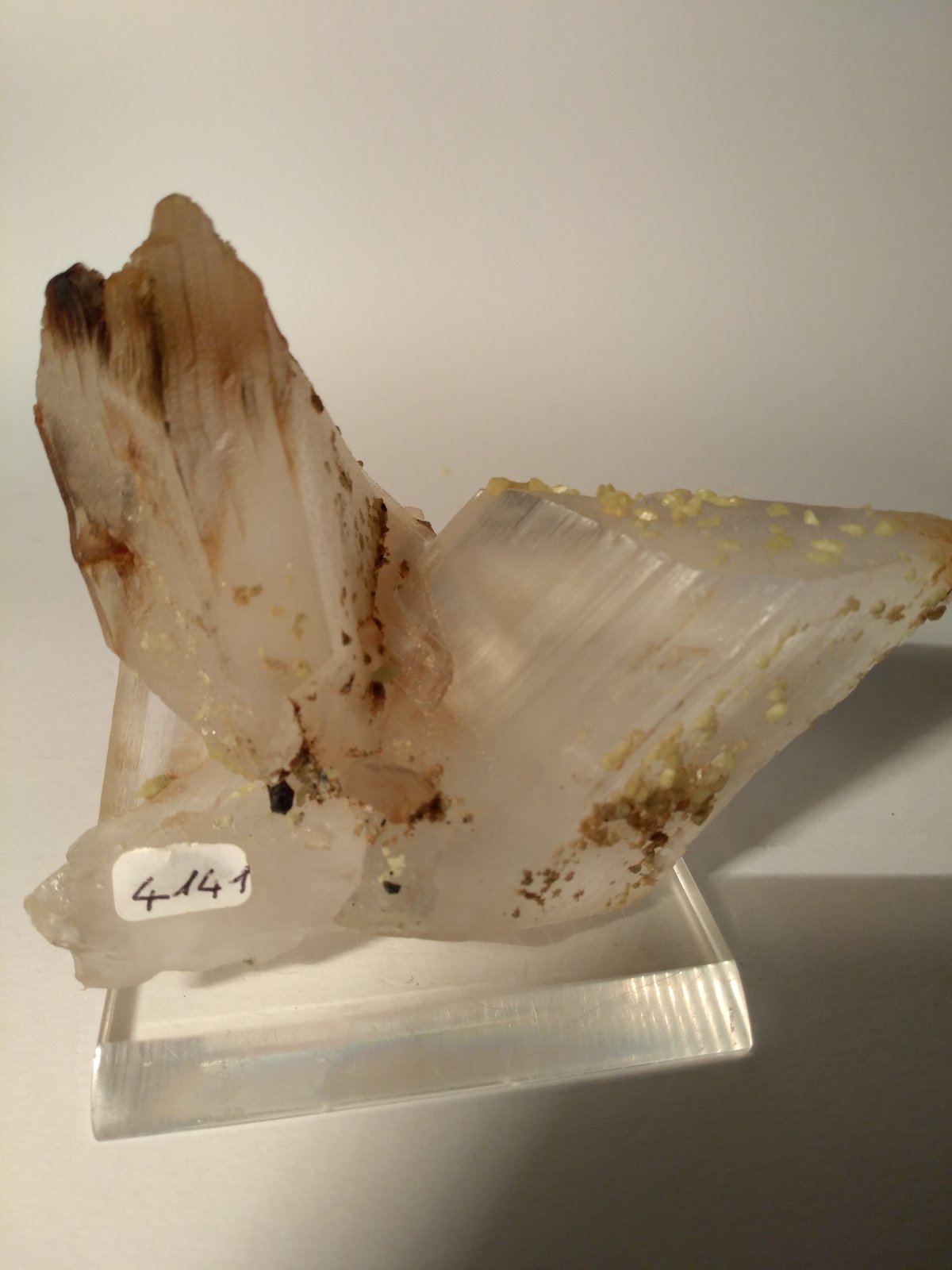 Azufre sobre Yeso
110 x 96 mm
(Autor: Sante Celiberti)