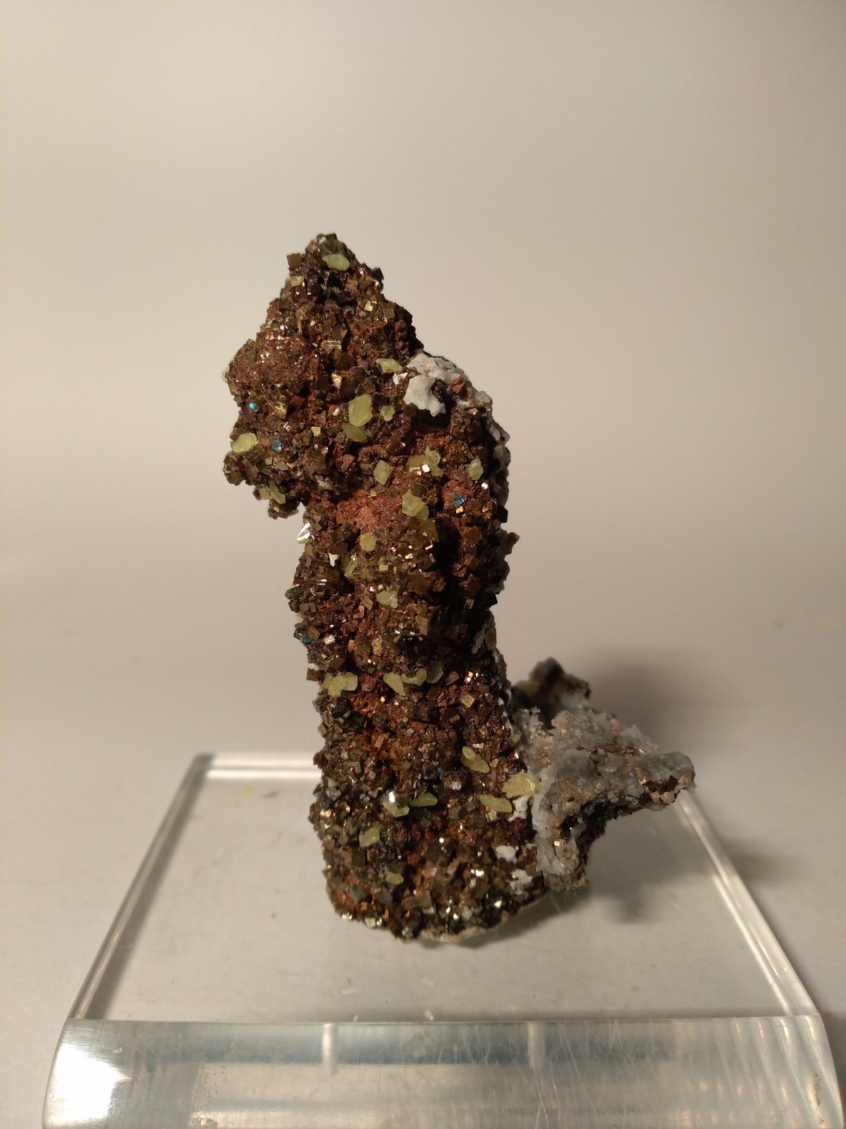 Azufre, Pirita
80 x 43 mm
(Autor: Sante Celiberti)