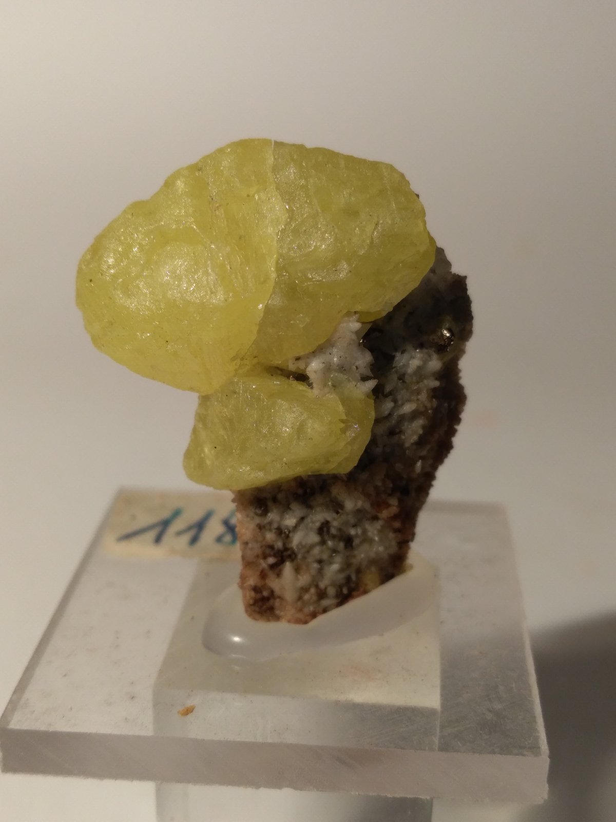 Azufre
30 x 25 mm
(Autor: Sante Celiberti)