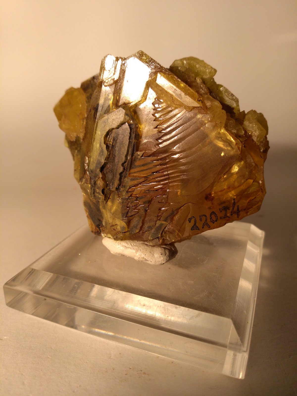Azufre
74 x 50 mm
(Autor: Sante Celiberti)