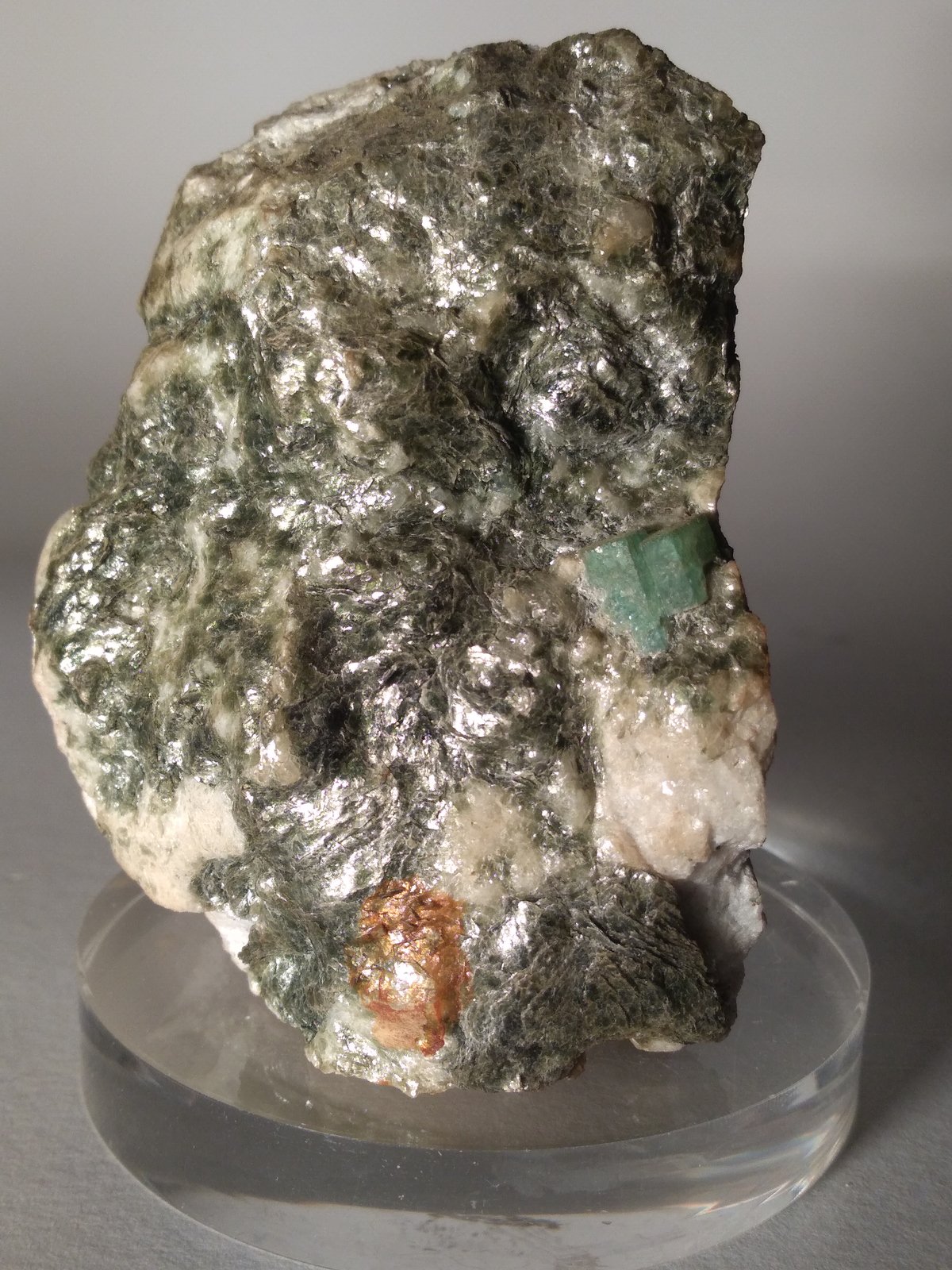 Berilo (variedad esmeralda)
66 x 50 mm
(Autor: Sante Celiberti)