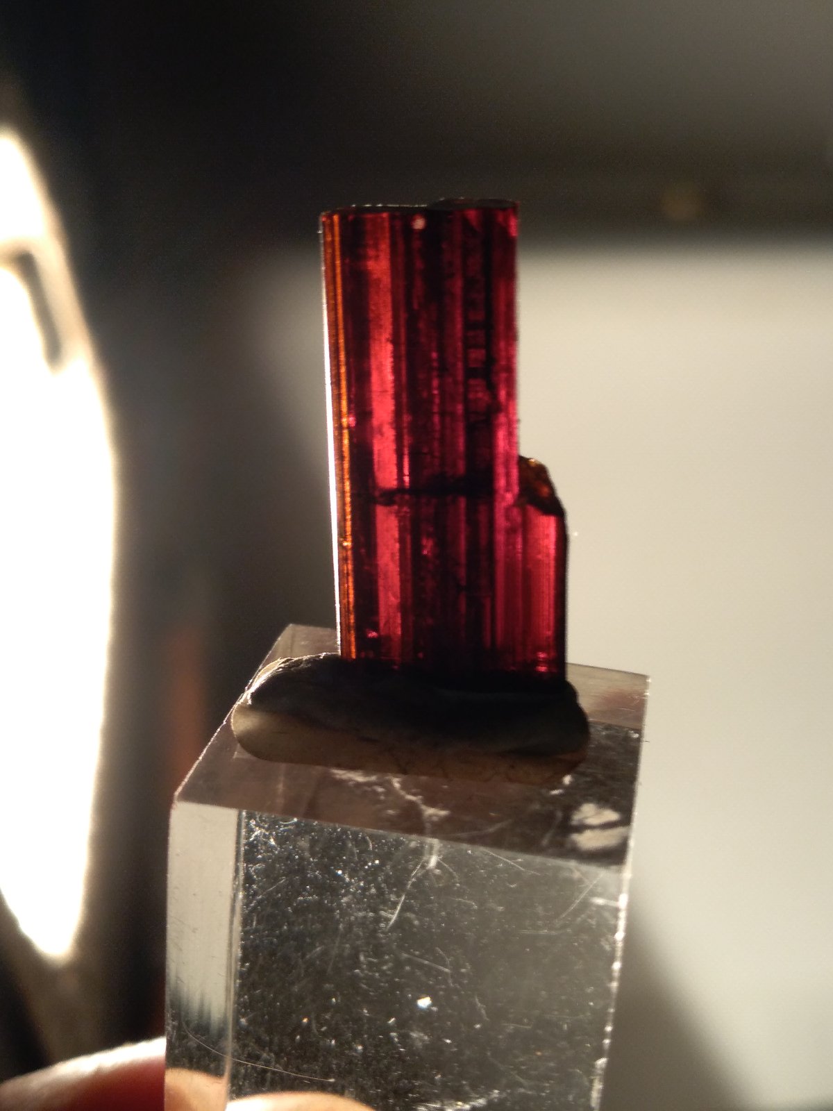 Vesuvianita (Vesubiana)
20 x 9 mm
(Autor: Sante Celiberti)