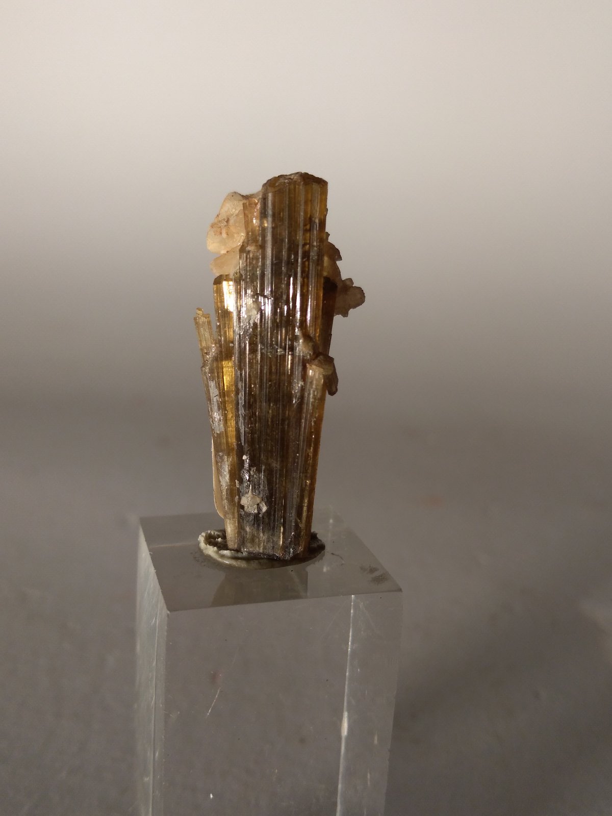 Vesuvianita (Vesubiana)
28 x 12 mm
(Autor: Sante Celiberti)