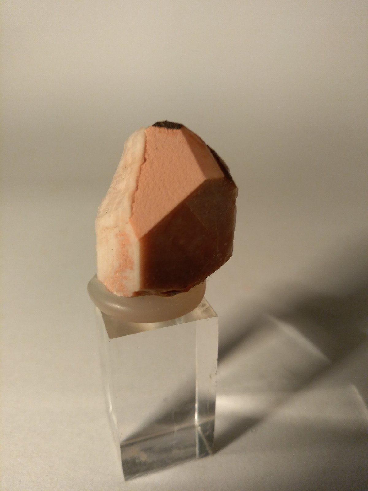 Ortoclasa
25 x 16 mm
(Autor: Sante Celiberti)