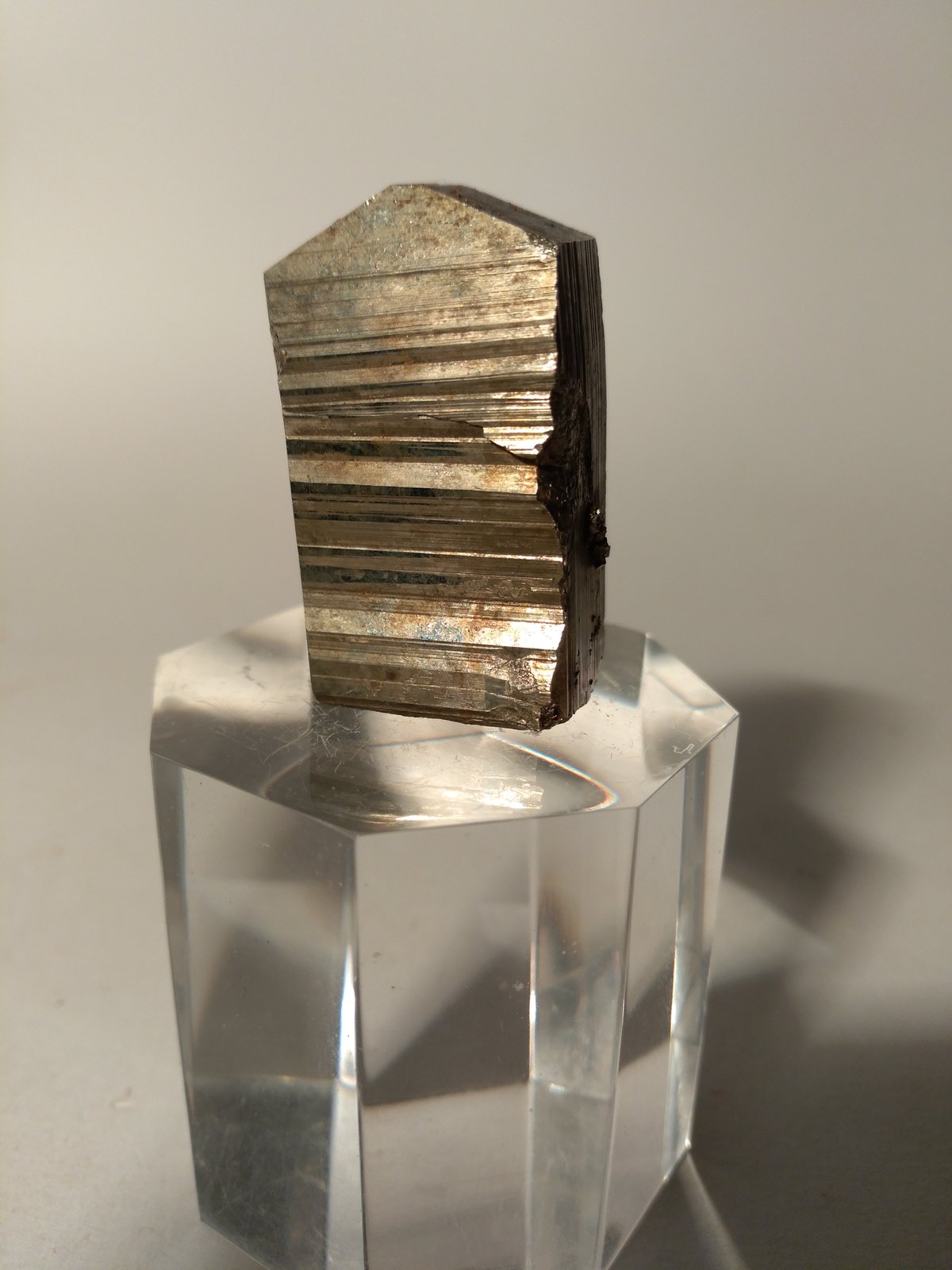 Pirita
34,3 x 23,5 mm
(Autor: Sante Celiberti)