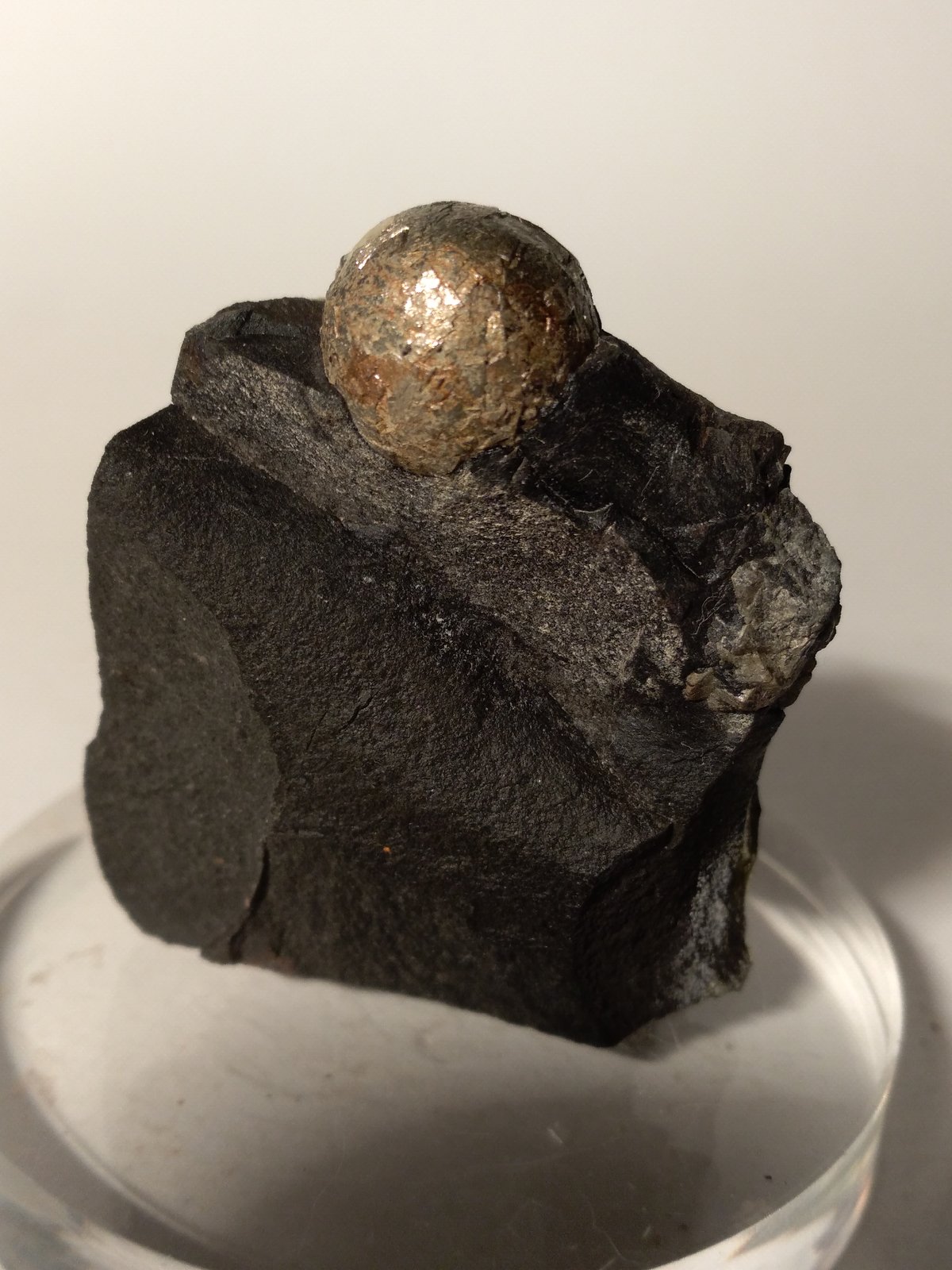 Pirita
40,5 x 56 mm
(Autor: Sante Celiberti)