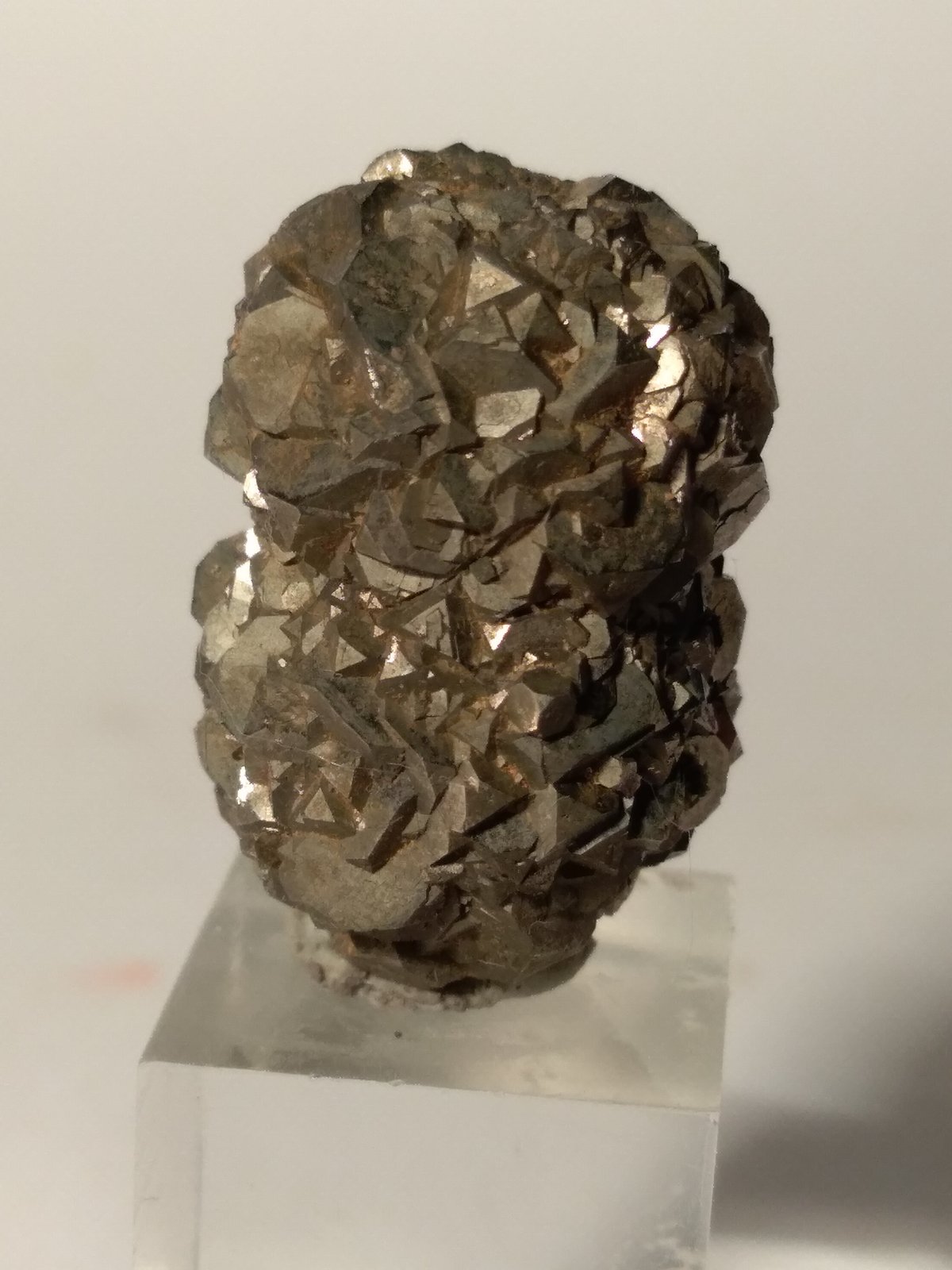 Pirita
25,5 x 17 mm
(Autor: Sante Celiberti)
