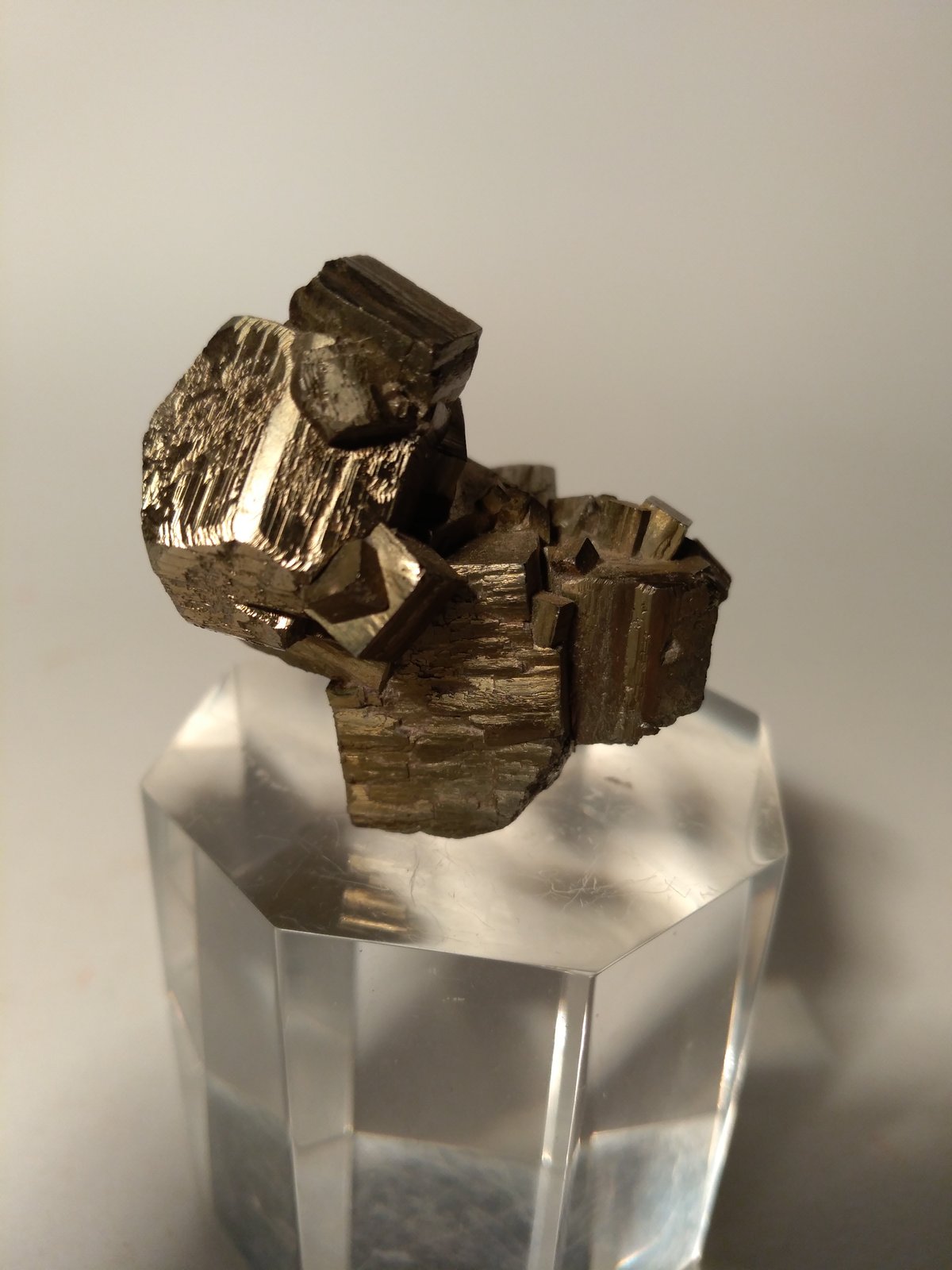 Pirita
33 x 32 mm
(Autor: Sante Celiberti)