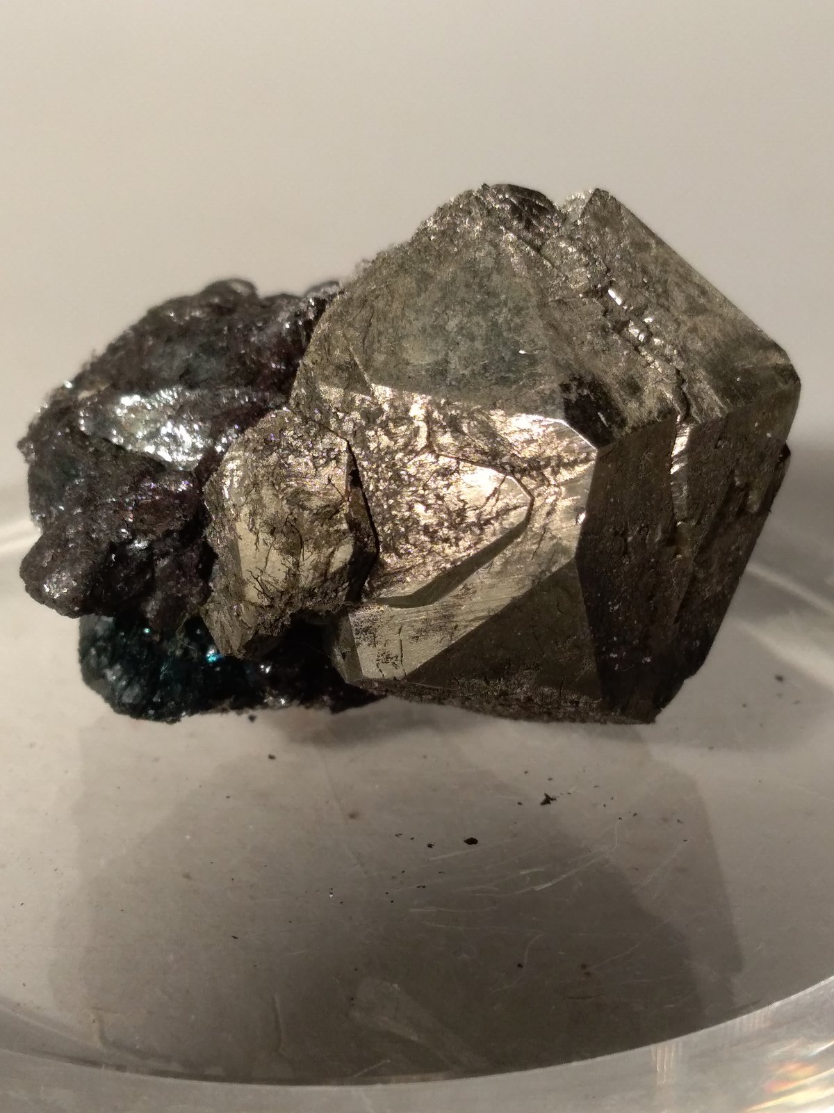 Pirita, Hematites
35 x 32 mm
(Autor: Sante Celiberti)