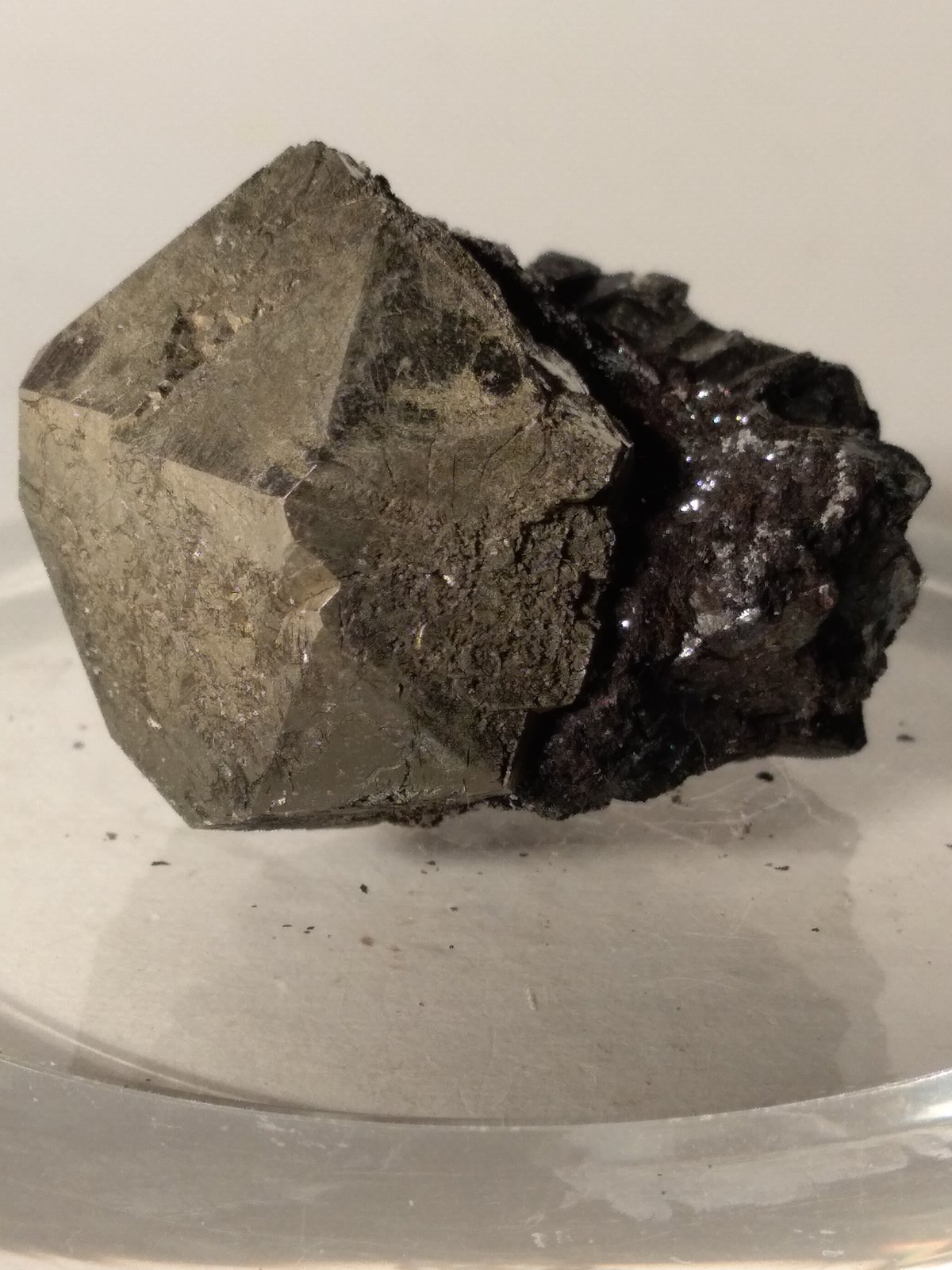 Pirita, Hematites
35 x 32 mm
(Autor: Sante Celiberti)