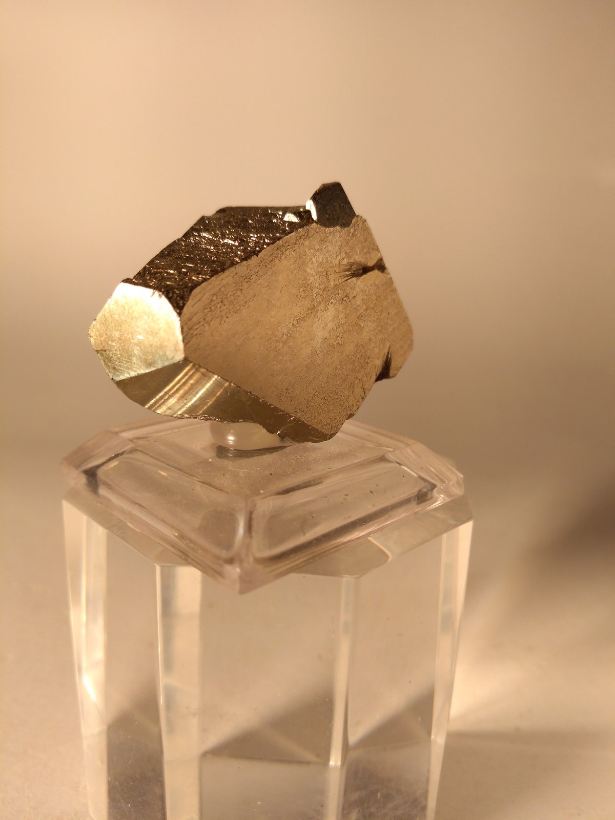 Pirita
33,3 x 24,3 mm
(Autor: Sante Celiberti)