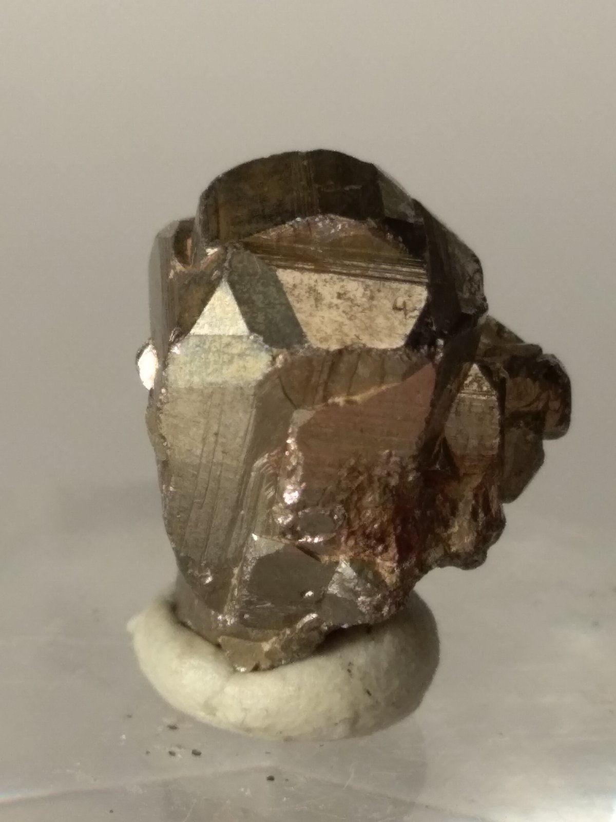 Pirita
19,2 x 14,5
(Autor: Sante Celiberti)