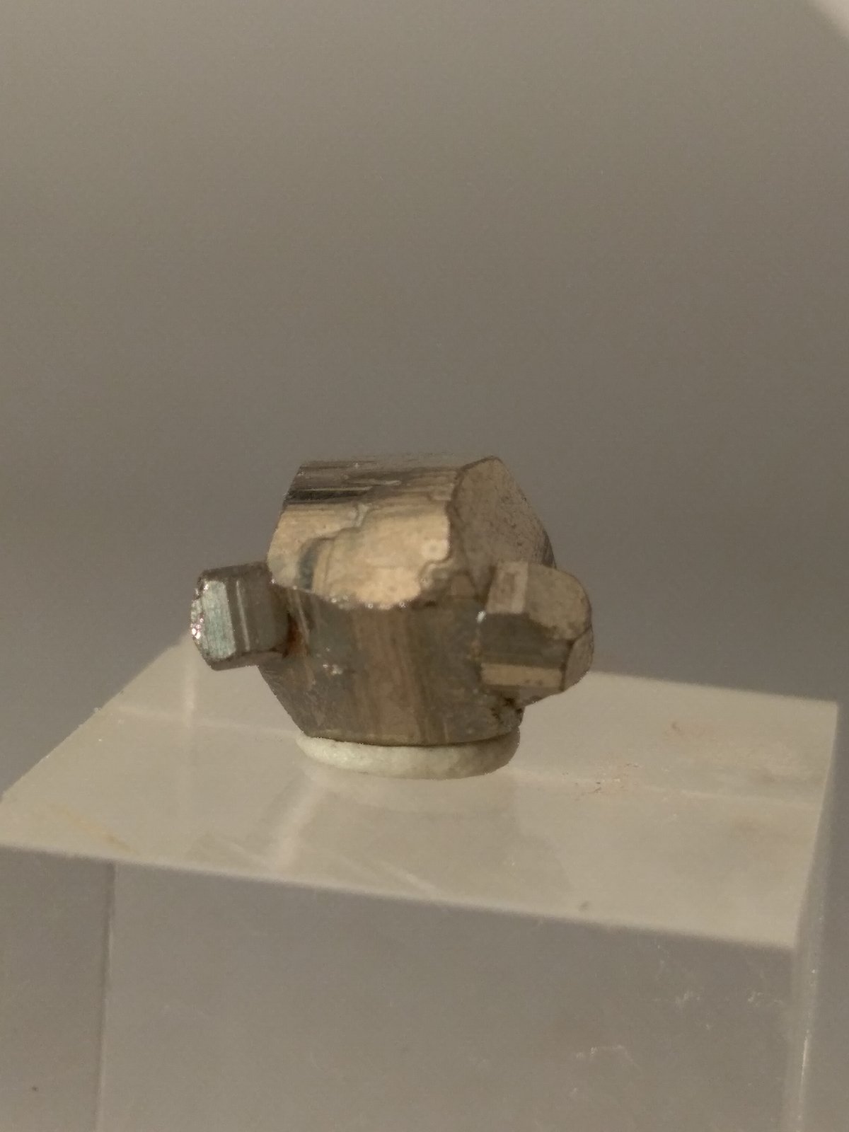 Pirita
8,6 x 6,5 mm
(Autor: Sante Celiberti)