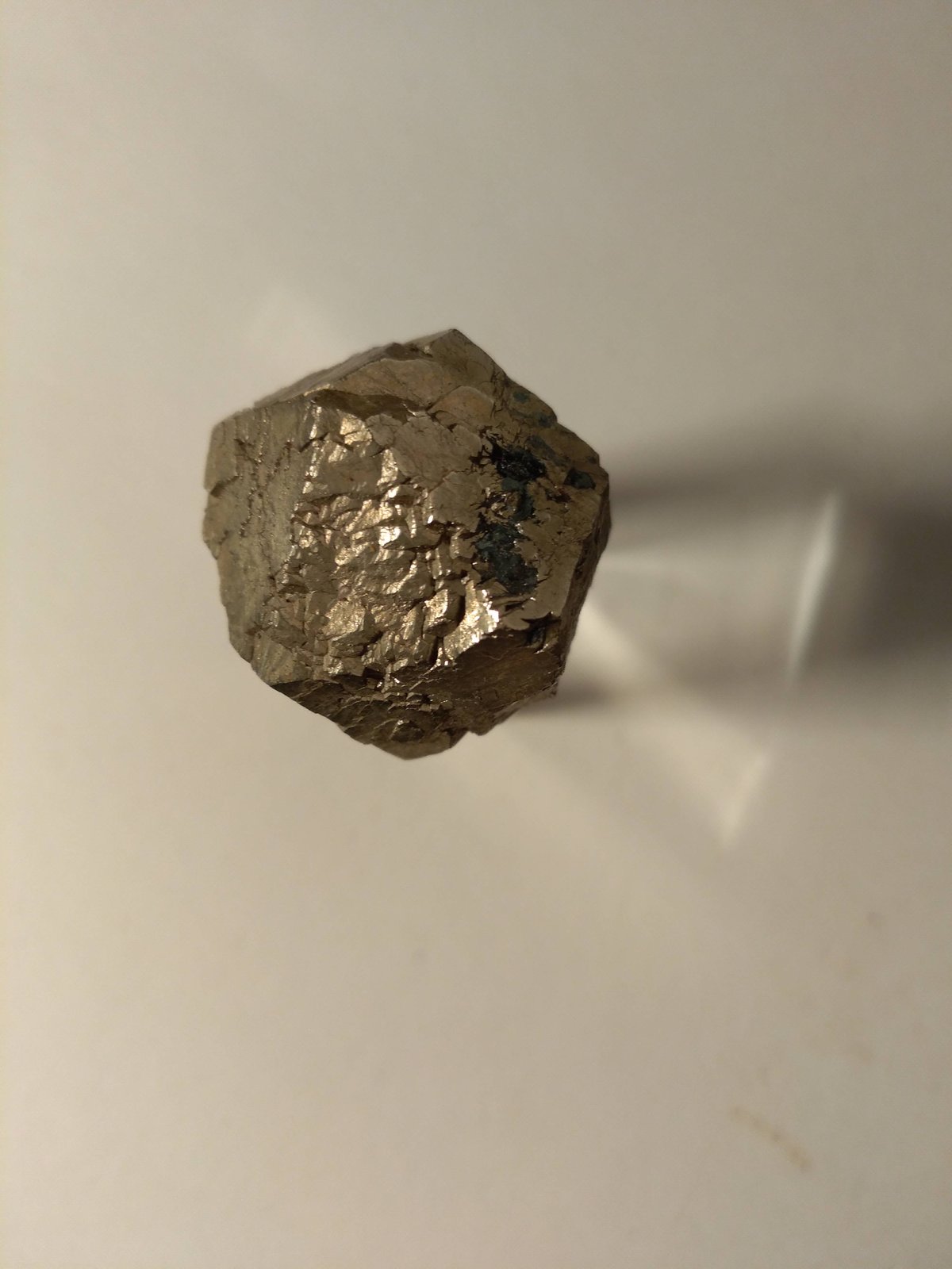 Pirita
21 x 19,5 mm
(Autor: Sante Celiberti)