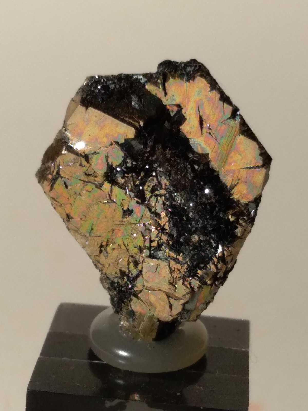 Pirita, Hematites
24 x 19,5 x 7 mm
(Autor: Sante Celiberti)