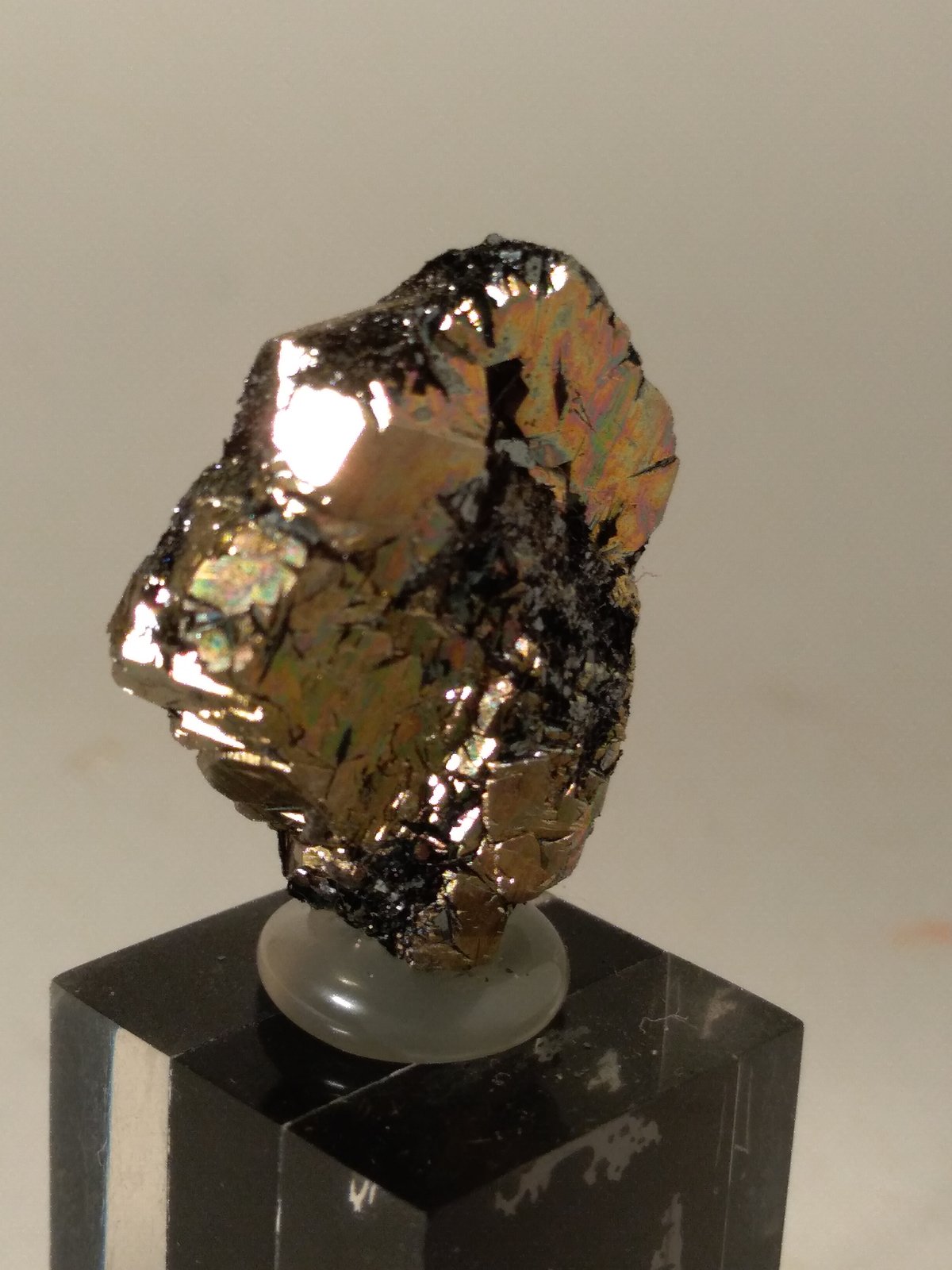 Pirita, Hematites
24 x 19,5 x 7 mm
(Autor: Sante Celiberti)