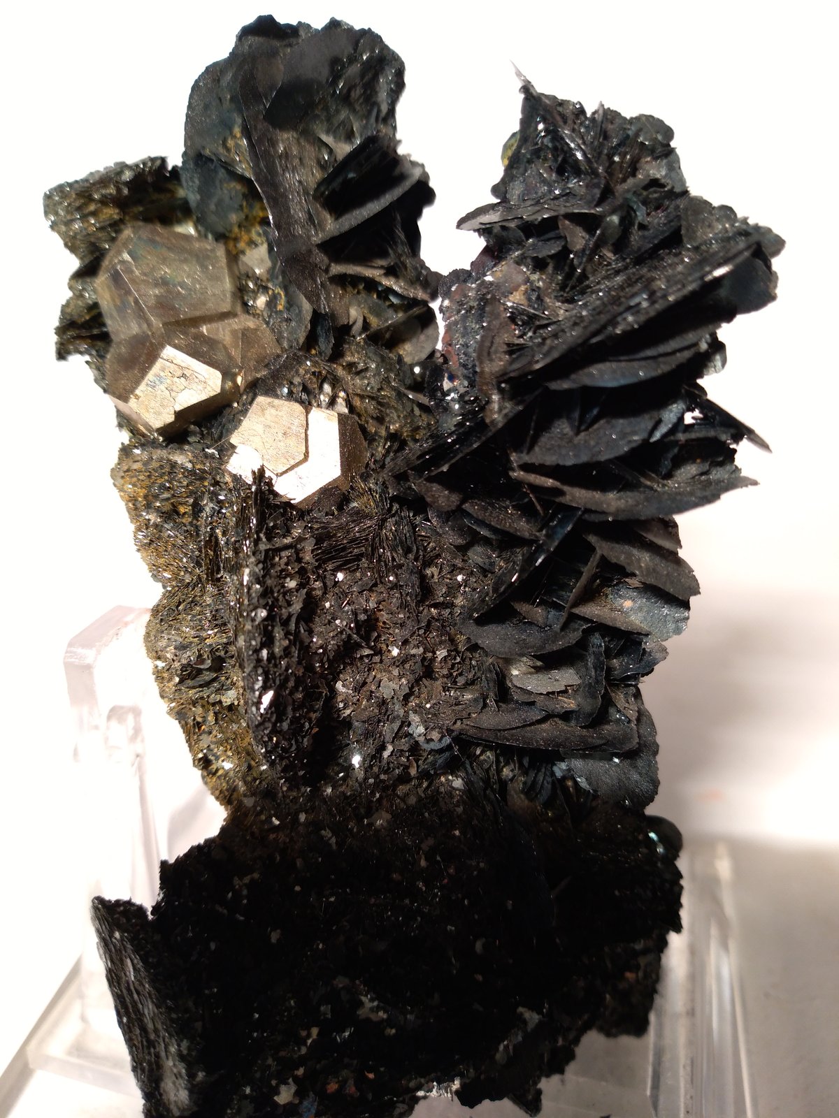 Pirita, Hematites
100 x 57 mm
(Autor: Sante Celiberti)