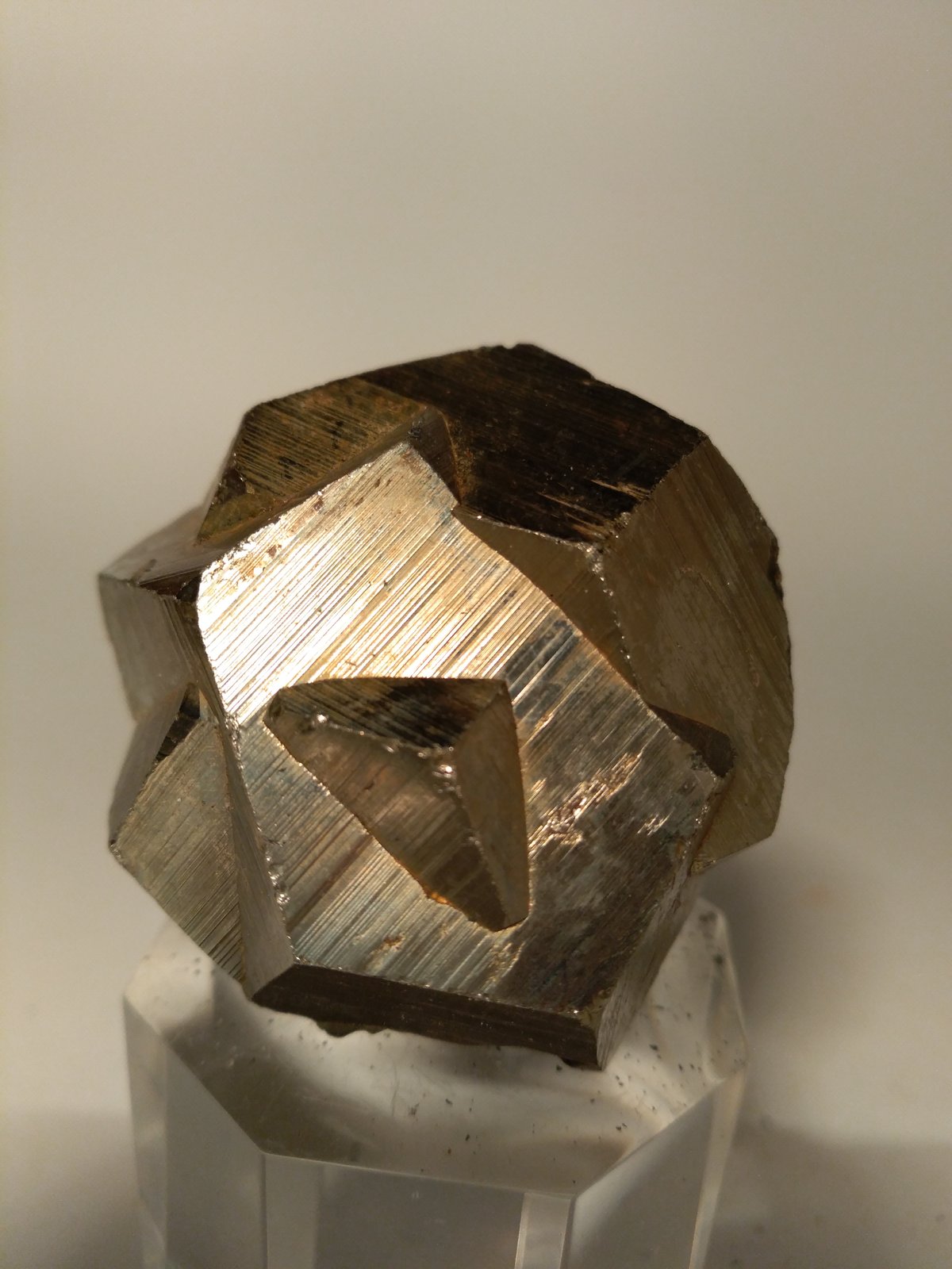 Pirita
56 x 45 mm
(Autor: Sante Celiberti)