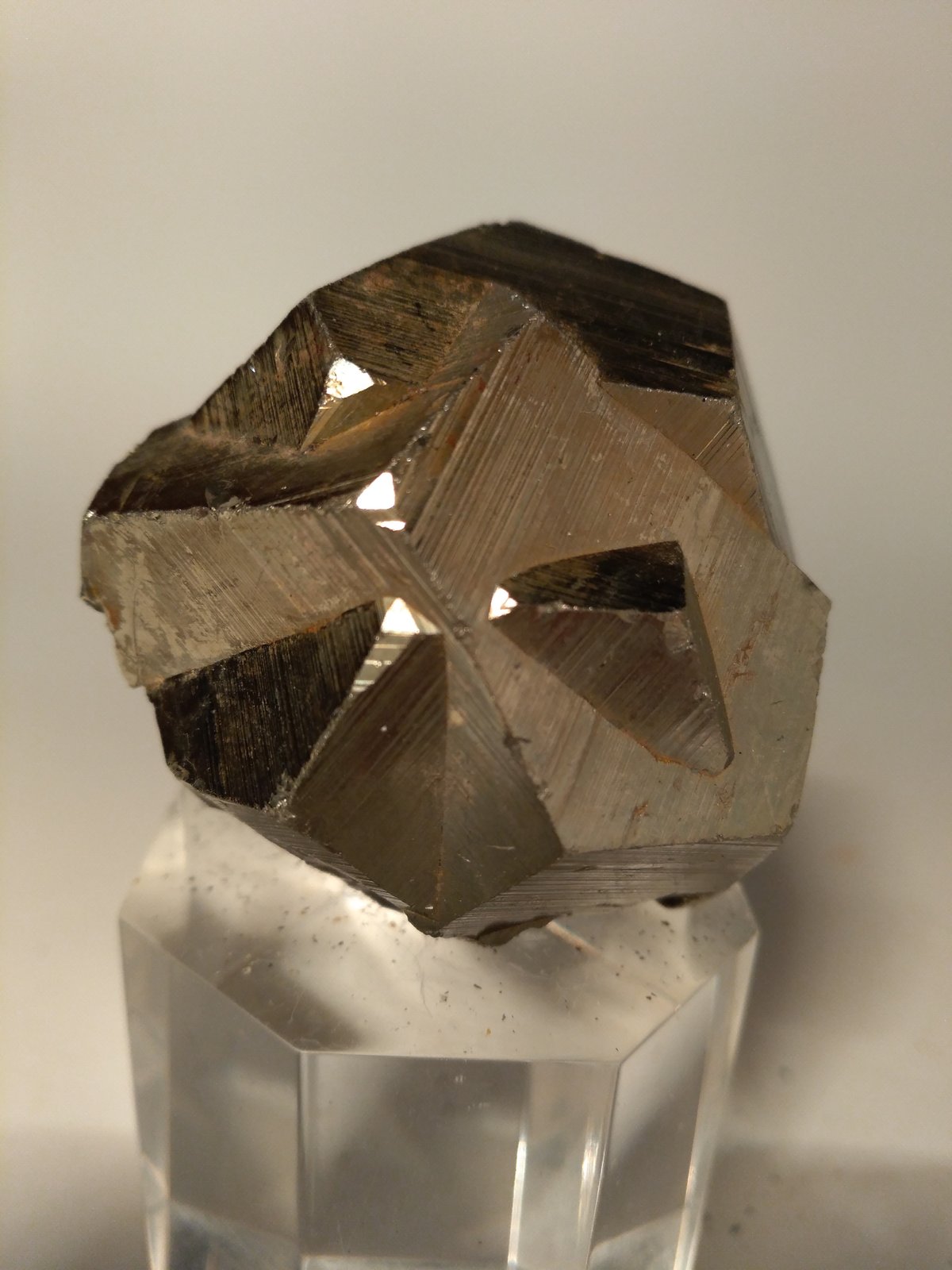 Pirita
56 x 45 mm
(Autor: Sante Celiberti)
