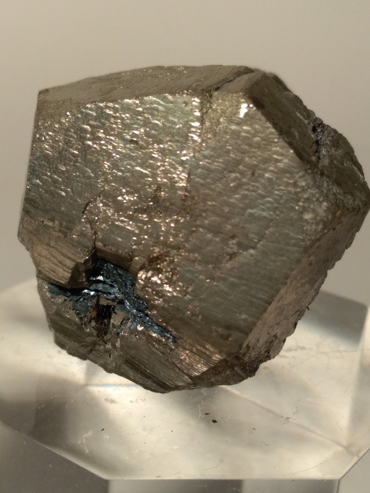 Pirita, Hematites
28 x 26 mm
(Autor: Sante Celiberti)