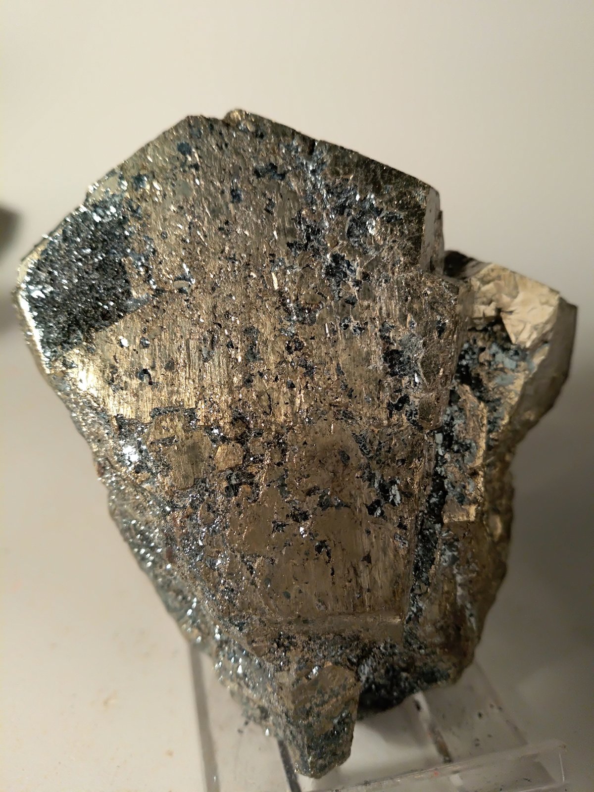Pirita, Hematites
74 x 64
(Autor: Sante Celiberti)