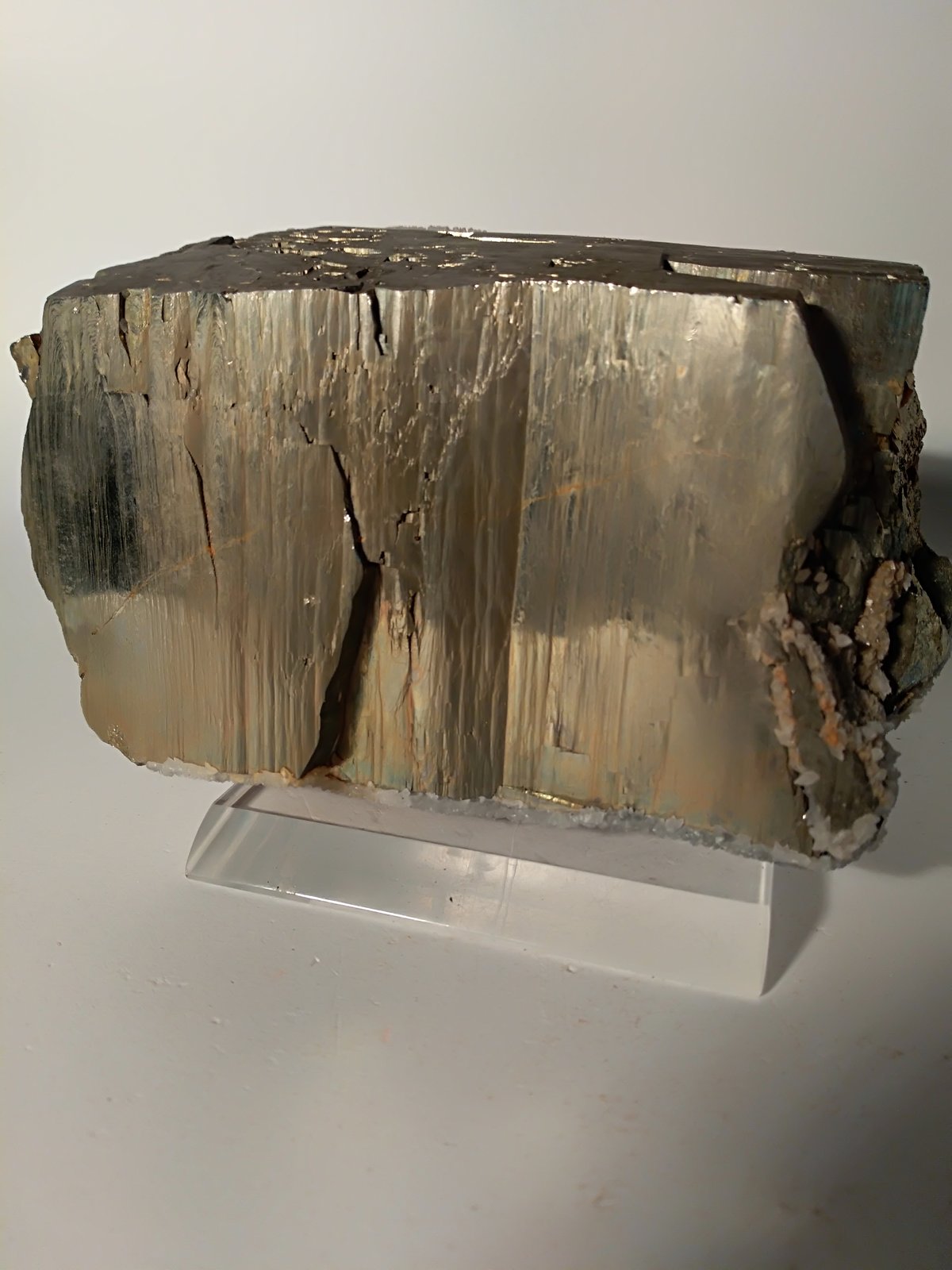 Pirita
137 x 82 mm
(Autor: Sante Celiberti)