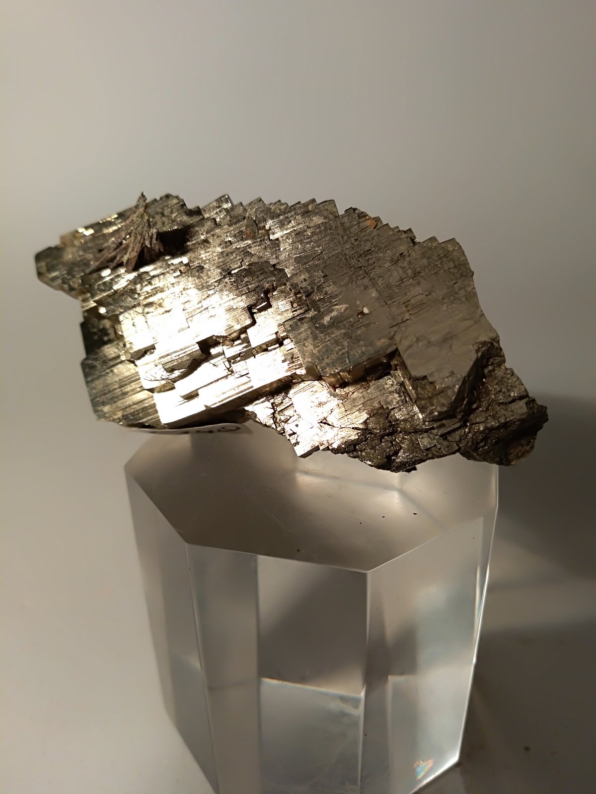 Pirita, Stibnita (Estibina)
59 x 31 mm
(Autor: Sante Celiberti)