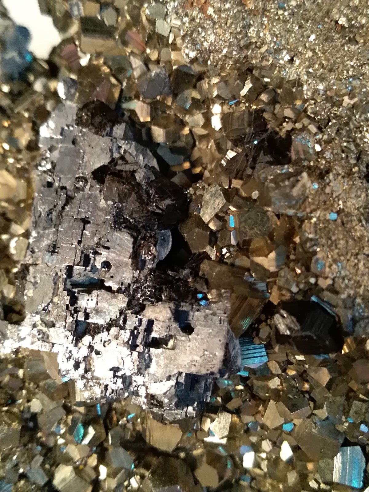 Pirita, Galena, Esfalerita
98 mm x 75 mm
(Autor: Sante Celiberti)
