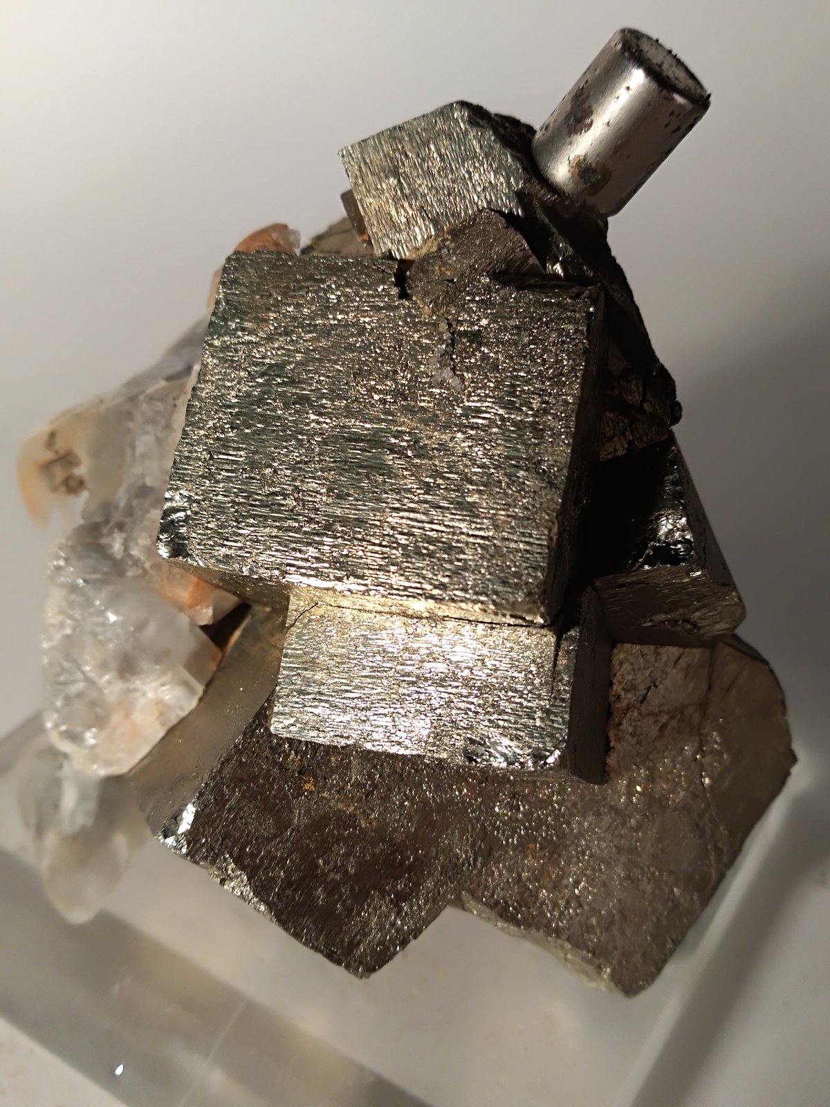 Pirita, Yeso
71 x 76 mm
(Autor: Sante Celiberti)