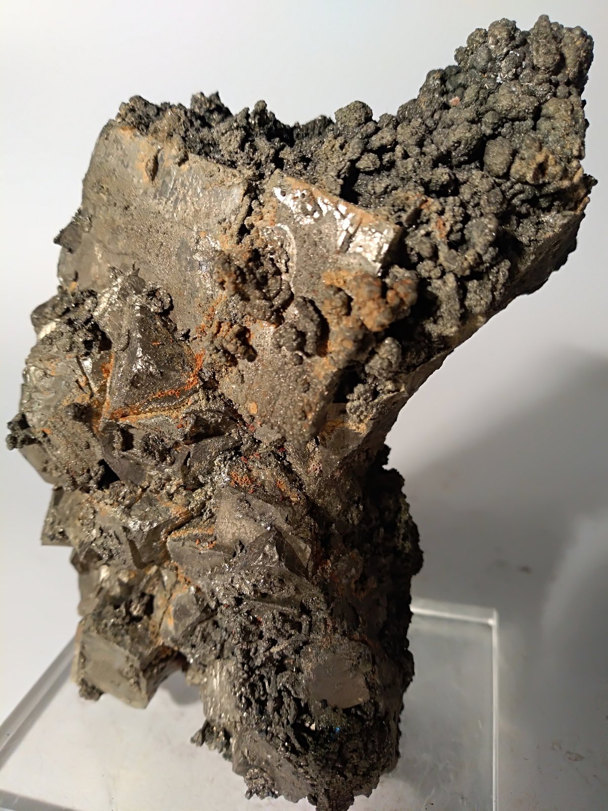 Pirita, Melnikovita, Pirrotita
112 x 61 mm
(Autor: Sante Celiberti)