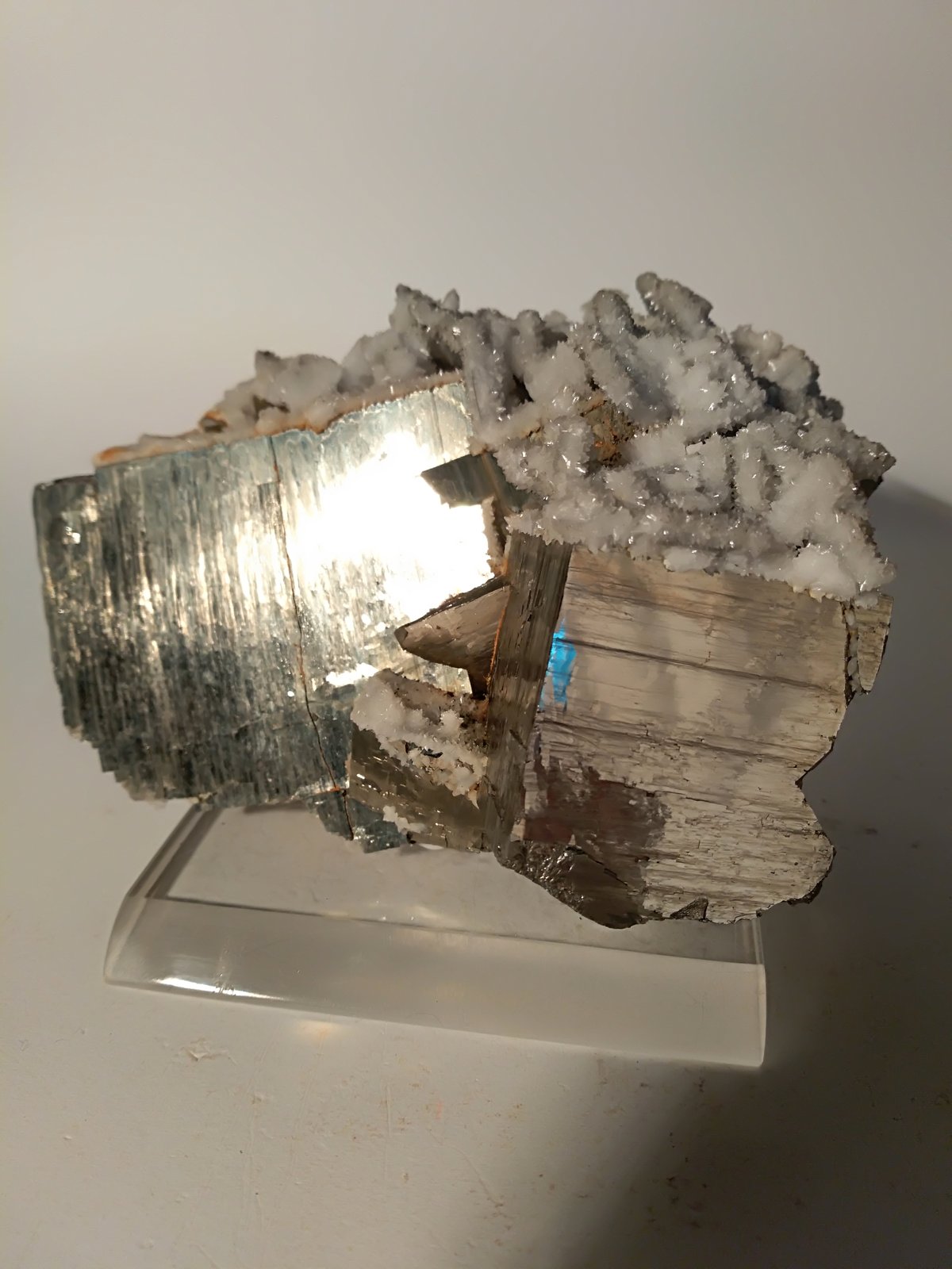 Pirita, Calcita (seudomorfa de Anhidrita)
111 x 84 mm
(Autor: Sante Celiberti)