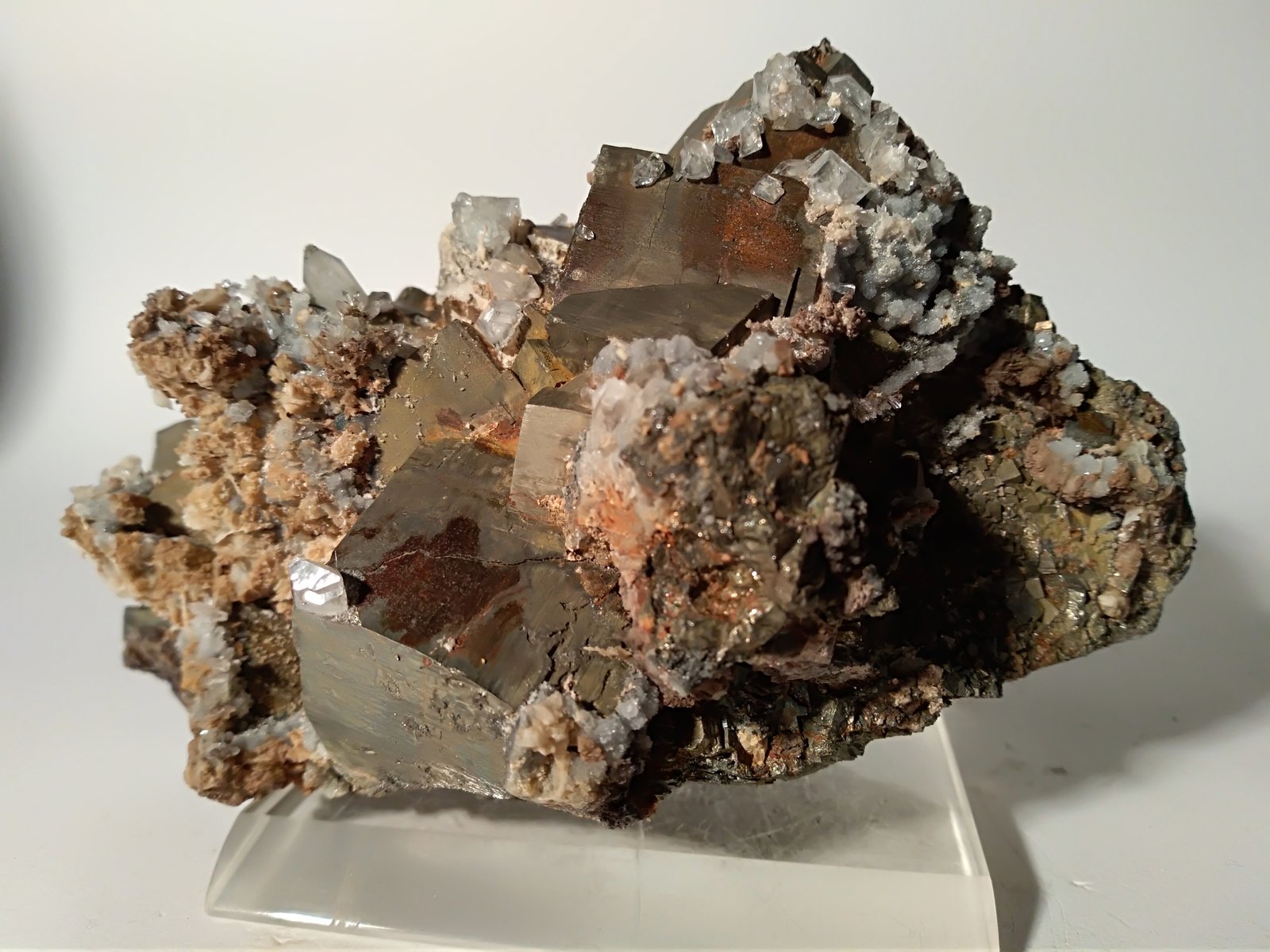 Pirita, Celestina
127 x 83 mm
(Autor: Sante Celiberti)