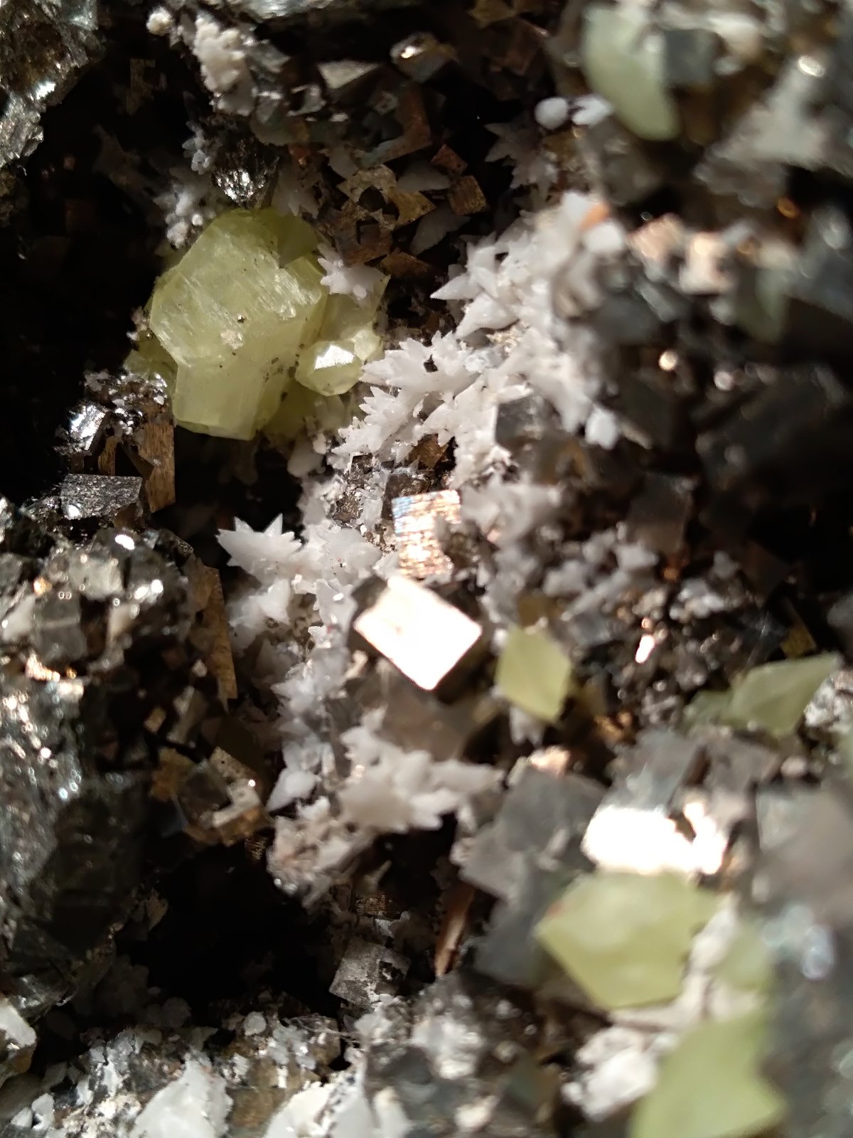 Pirita, Azufre, Calcita
295,5 x 222,5 mm
(Autor: Sante Celiberti)