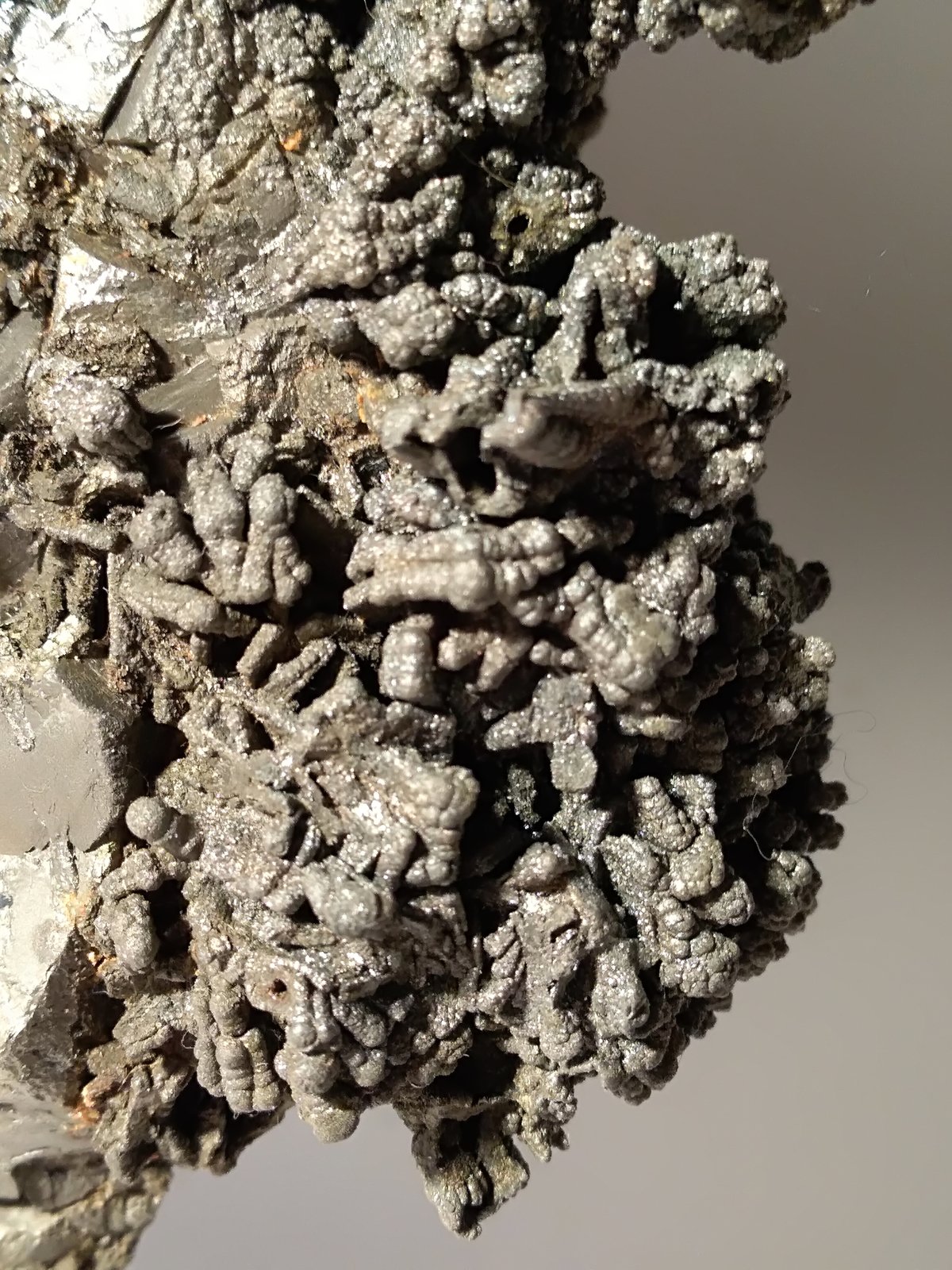 Pirita, Pirrotita, Melnikovita
260 x 190 mm
(Autor: Sante Celiberti)