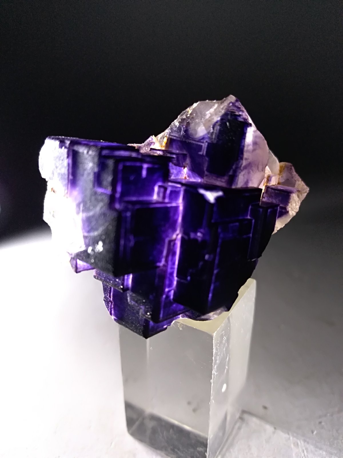 Fluorita
37 x 30 mm
(Autor: Sante Celiberti)
