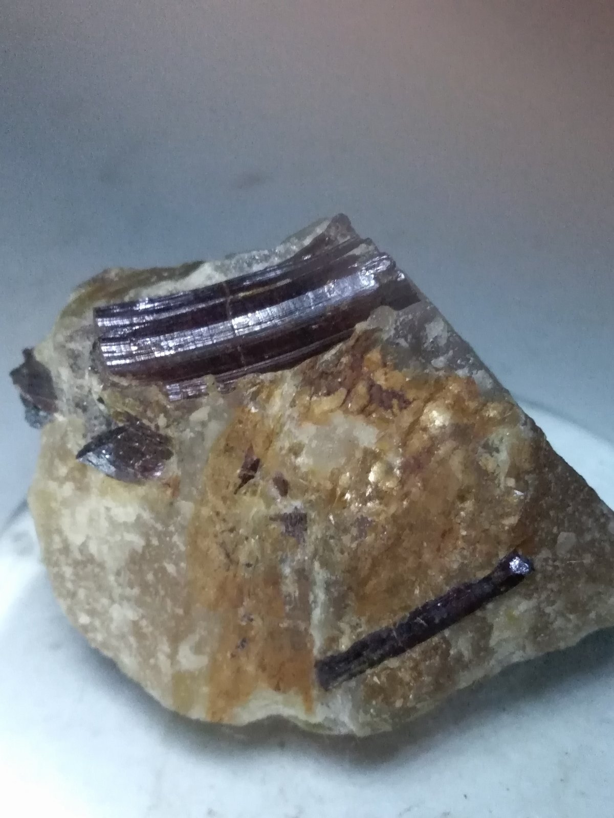 Rutilo
40 x 32 mm
(Autor: Sante Celiberti)