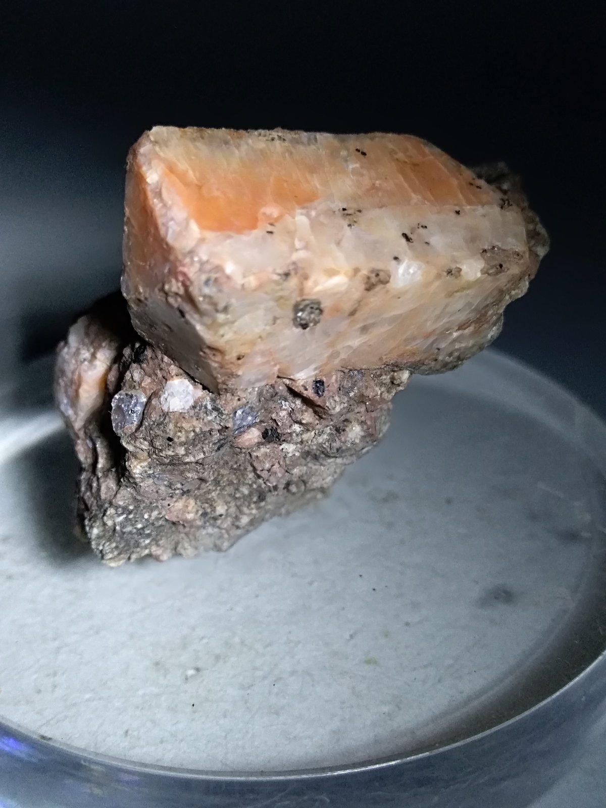 Ortoclasa
40,5 x 36 mm
(Autor: Sante Celiberti)